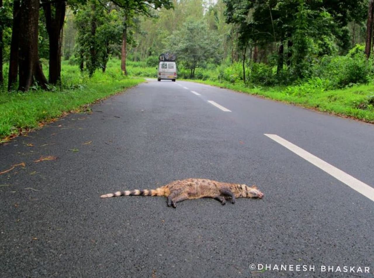 ബന്ദിപ്പൂർ യാത്രാ നിരോധന വിഷയത്തിൽ അടിയന്തരമായി ഇടപെടണമെന്ന് കേന്ദ്രമന്ത്രി പ്രകാശ് ജാവദേക്കറോട് ആവശ്യപ്പെട്ടെന്നായിരുന്നു മുഖ്യമന്ത്രി പിണറായി വിജയന്‍ പറഞ്ഞത്. വിഷയത്തെക്കുറിച്ച് പഠിക്കാന്‍ വിദഗ്‍ധ സമിതിയെ നിയോഗിക്കുമെന്ന് കേന്ദ്രമന്ത്രി അറിയിച്ചതായും മുഖ്യമന്ത്രി പറഞ്ഞു.