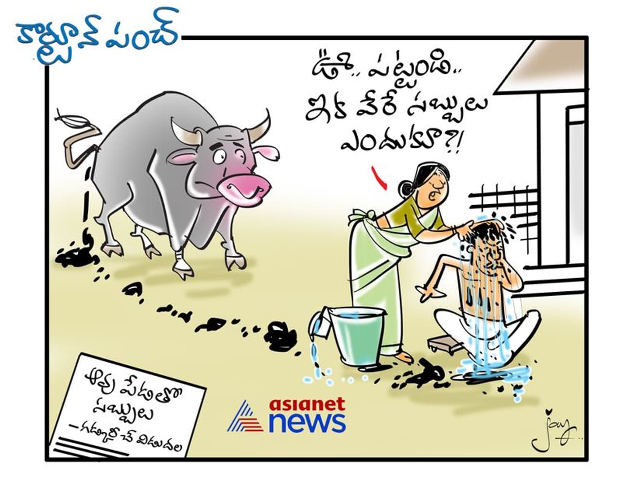 కార్టూన్ పంచ్