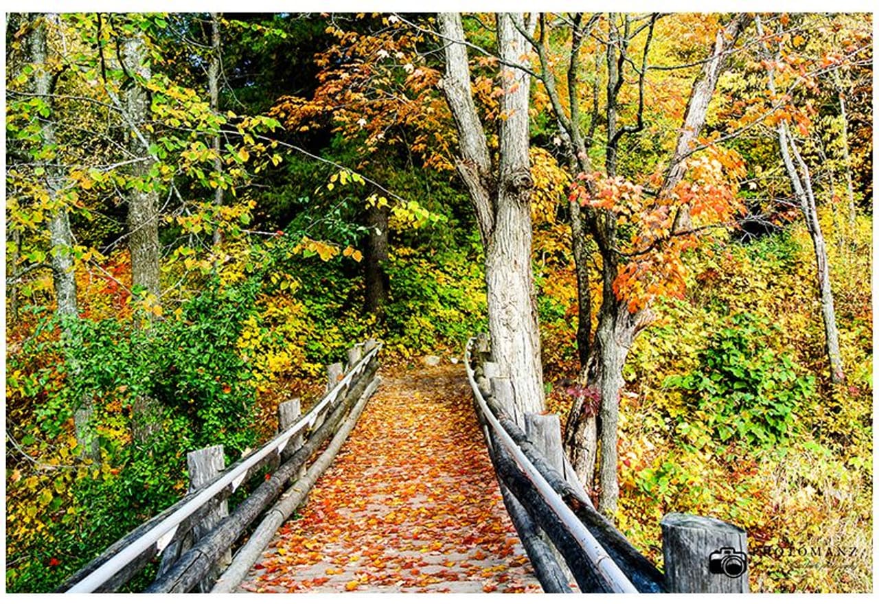 റഷ്യ കഴിഞ്ഞാല് ഏറ്റവും കൂടുതല് ഭൂപ്രദേശമുള്ള രാജ്യമാണ് കാനഡ. ആര്ട്ടിക്ക് പ്രദേശത്തോട് അടുത്ത് കിടക്കുന്ന ഏറ്റവും കൂടുതല് തീരപ്രദേശമുള്ള രാജ്യം. (ചിത്രം: ഗറ്റിന്യൂ പാര്ക്ക്, ഓറ്റാവാ) റഷ്യ കഴിഞ്ഞാല് ഏറ്റവും കൂടുതല് ഭൂപ്രദേശമുള്ള രാജ്യമാണ് കാനഡ. ആര്ട്ടിക്ക് പ്രദേശത്തോട് അടുത്ത് കിടക്കുന്ന ഏറ്റവും കൂടുതല് തീരപ്രദേശമുള്ള രാജ്യം. (ചിത്രം: ഗറ്റിന്യൂ പാര്ക്ക്, ഓറ്റാവാ)