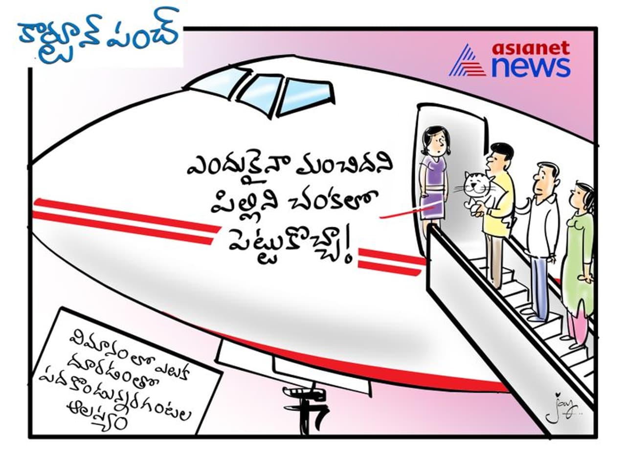 A mouse in the flight