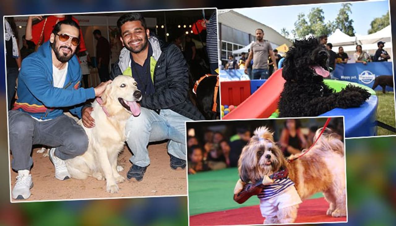 Pet Fed, India’s Biggest Pet Festival &Limca World Record Holder of ‘Biggest Dog Carnival’, presented by Just Dogs concluded their second and final day of its 2nd Edition in Bengaluru.