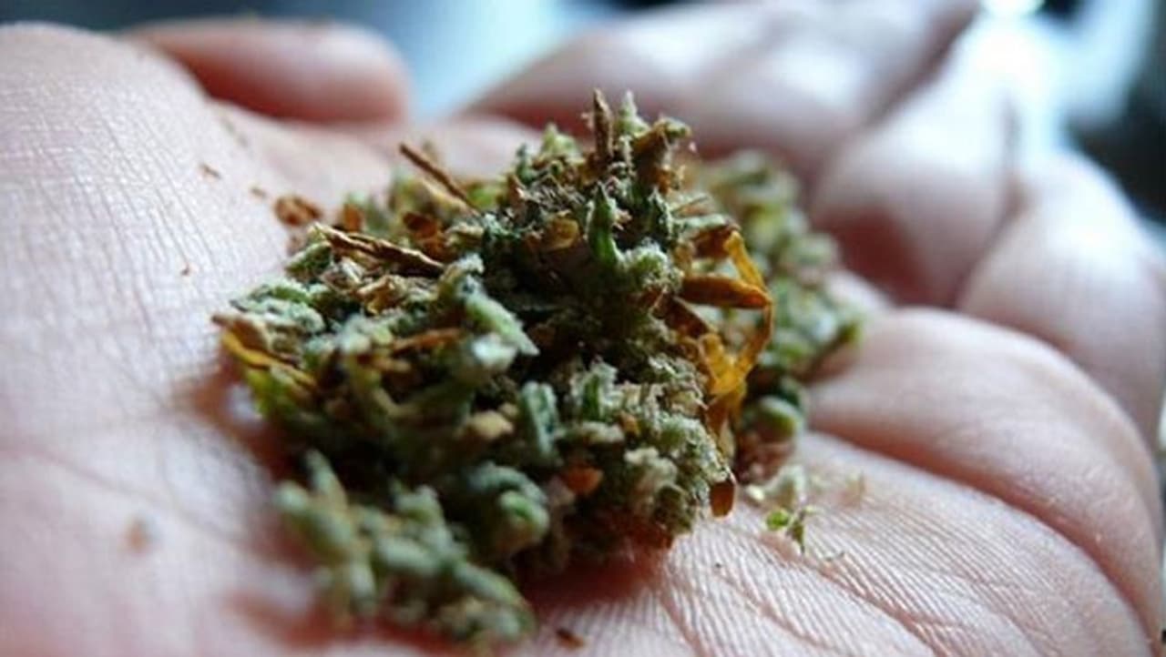 <p>ಗಾಂಜಾವನ್ನು ವೀಡ್, ಪಾಟ್, ಡಾಪ್ ಗ್ರಾಸ್ ಎಂದೂ ಕರೆಯುತ್ತಾರೆ. ಮರಿಜುವಾನಾ ಬಳಸಿದಾಗ ನಿಮ್ಮ ದೇಹ, ಮೆದುಳಿನ ಮೇಲೆ ಹಲವಾರು ಪರಿಣಾಮಗಳಾಗುತ್ತವೆ. ಕೆನ್ನಾಬೀಸ್ ಗಿಡದಿಂದ ಸಿಗುವ ಈ ಮಾದಕ ವಸ್ತುವನ್ನು ಸೇದುವುದು, ಕುಡಿಯುವುದು, ತಿನ್ನುವ ಮೂಲಕ ಬಳಸುತ್ತಾರೆ.</p> <p>ಗಾಂಜಾವನ್ನು ವೀಡ್, ಪಾಟ್, ಡಾಪ್ ಗ್ರಾಸ್ ಎಂದೂ ಕರೆಯುತ್ತಾರೆ. ಮರಿಜುವಾನಾ ಬಳಸಿದಾಗ ನಿಮ್ಮ ದೇಹ, ಮೆದುಳಿನ ಮೇಲೆ ಹಲವಾರು ಪರಿಣಾಮಗಳಾಗುತ್ತವೆ. ಕೆನ್ನಾಬೀಸ್ ಗಿಡದಿಂದ ಸಿಗುವ ಈ ಮಾದಕ ವಸ್ತುವನ್ನು ಸೇದುವುದು, ಕುಡಿಯುವುದು, ತಿನ್ನುವ ಮೂಲಕ ಬಳಸುತ್ತಾರೆ.</p>