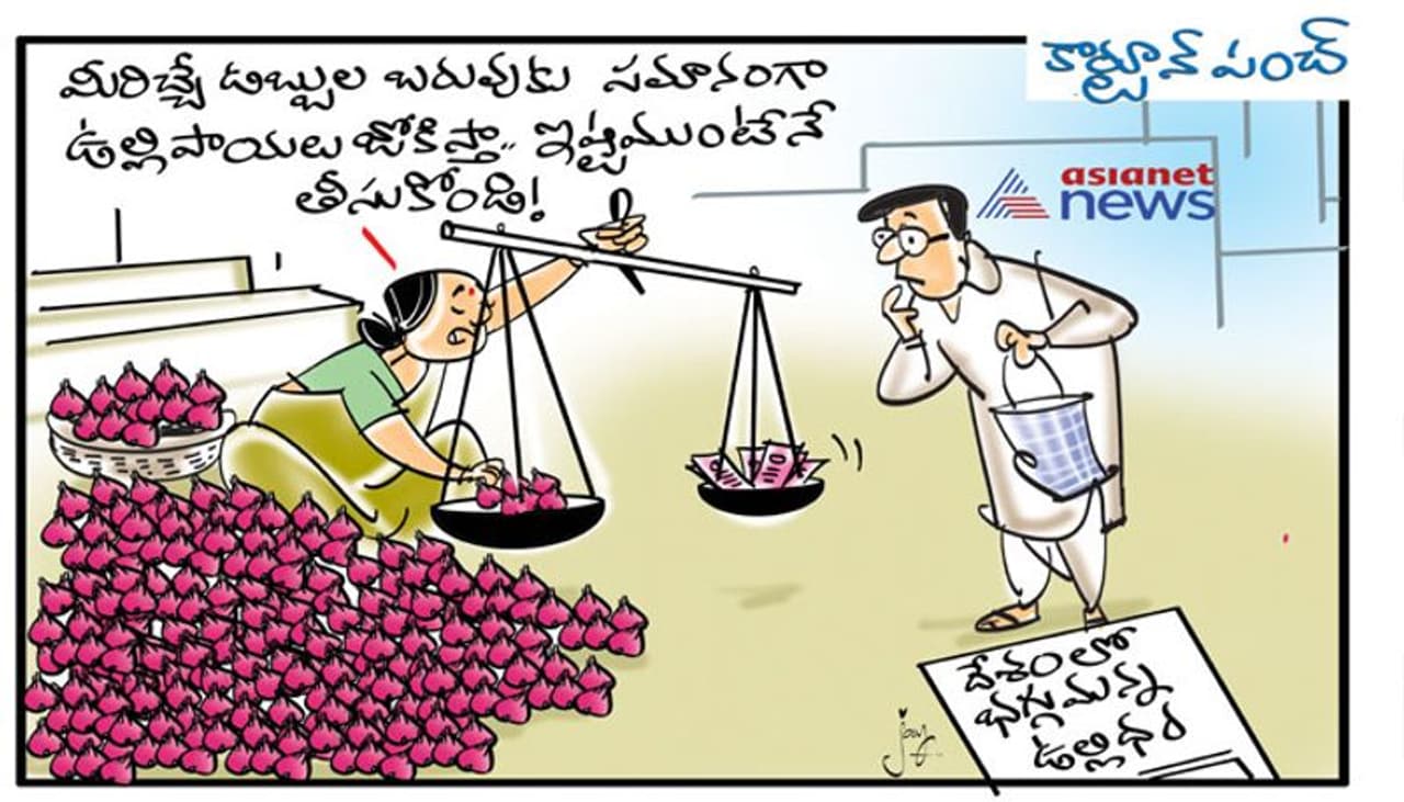 Today Cartoon On Onion Price Hike