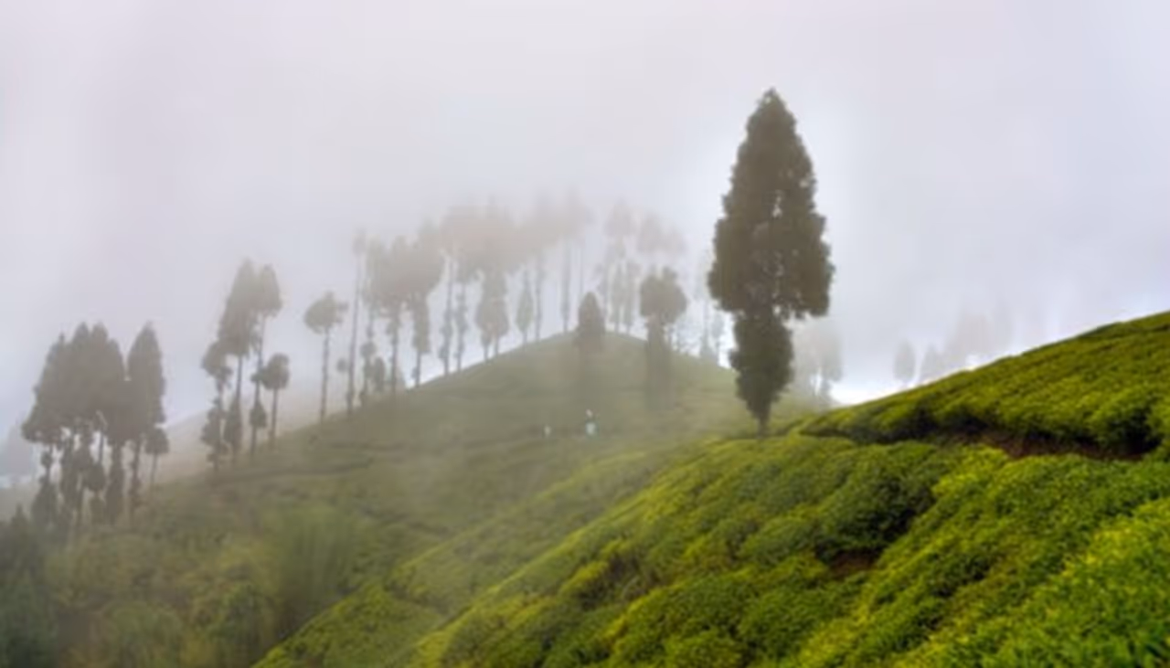 <p>After the COVID 19 pandemic, everyone has been facing a financial crunch. The days of Durga puja are approaching. Amidst all this, people can’t think of affording a lavish vacation.<br />&nbsp;</p>