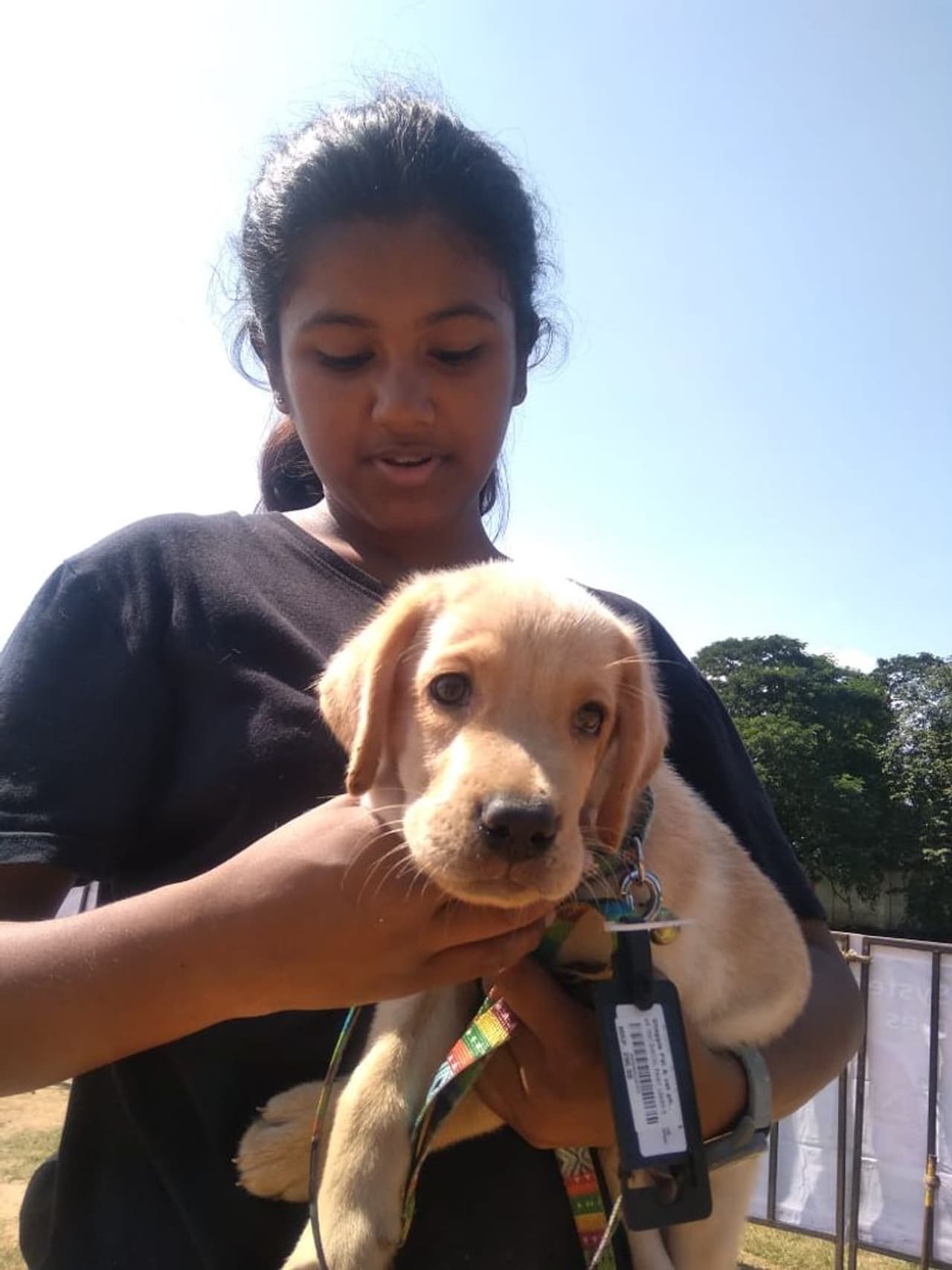 கண்காட்சிக்காக சிறுமி கொண்டுவந்த செல்ல நாய்க்குட்டி கண்காட்சிக்காக சிறுமி கொண்டுவந்த செல்ல நாய்க்குட்டி