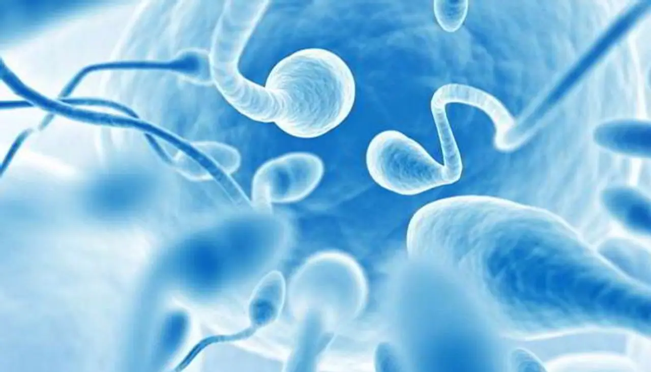 <p>ಬಿಸಿ ಹಾಲಿನೊಂದಿಗೆ ಬೆರೆಸಿದ ಮಖಾನಾವನ್ನು ತಿನ್ನುವುದರಿಂದ ಪುರುಷರಲ್ಲಿ ದುರ್ಬಲತೆ ಮತ್ತು ಕಡಿಮೆ ವೀರ್ಯಾಣು ಸಮಸ್ಯೆಯನ್ನು ನಿವಾರಿಸಬಹುದು ಎಂದು ಅನೇಕ ಸಂಶೋಧನೆಗಳಲ್ಲಿ ಸಾಬೀತಾಗಿದೆ. ಇದಲ್ಲದೆ ಹಾಲಿನೊಂದಿಗೆ ಮಖಾನಾ ಸೇವಿಸುವುದರಿಂದ ಇರೋ ಪ್ರಯೋಜನಗಳ ಬಗ್ಗೆ ಇಲ್ಲಿದೆ ಮಾಹಿತಿ..&nbsp;</p>