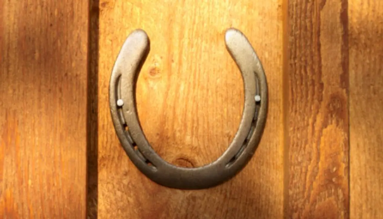 శని ప్రభావం త‌గ్గించే గుర్రపు నాడా