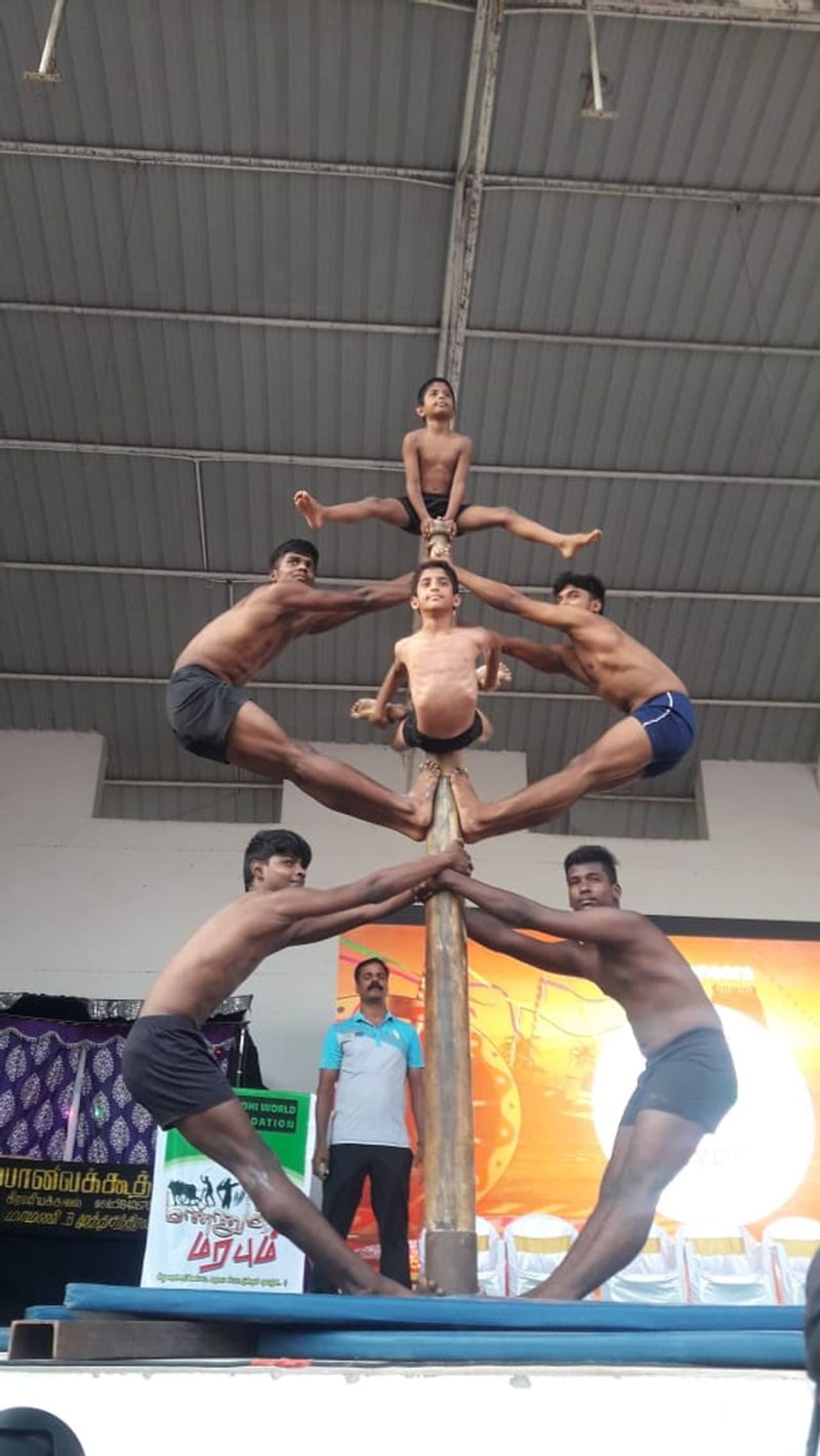 மரத்தில் சாகசம் செய்து அசத்திய சிறுவர்கள் மரத்தில் சாகசம் செய்து அசத்திய சிறுவர்கள்