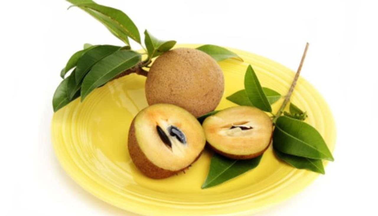 <p>ಚಳಿಗಾಲದಲ್ಲಿ ಕಂಡುಬರುವ ಒಂದು ಪ್ರಮುಖ ಹಣ್ಣು ಸಪೋಟಾ ಅಥವಾ ಚಿಕ್ಕೂ. ಸಪೋಟಾ ಅತ್ಯಂತ ಪೋಷಕಾಂಶಯುಕ್ತ ಹಣ್ಣಾಗಿದ್ದು, ಇದು ಅನೇಕ ಪ್ರಯೋಜನಗಳು ಹಾಗೂ ಪಾರ್ಶ್ವ ಪರಿಣಾಮಗಳನ್ನೂ ಹೊಂದಿವೆ. ಇದರಲ್ಲಿ ಅನೇಕ ವಿಟಾಮಿನ್ ಮತ್ತು ಖನಿಜಾಂಶಗಳು ಇವೆ. ಸಪೋಟಾ ಹಣ್ಣಿನ ಪ್ರಯೋಜನಗಳು ಯಾವುವು ತಿಳಿಯೋಣ....&nbsp;</p>