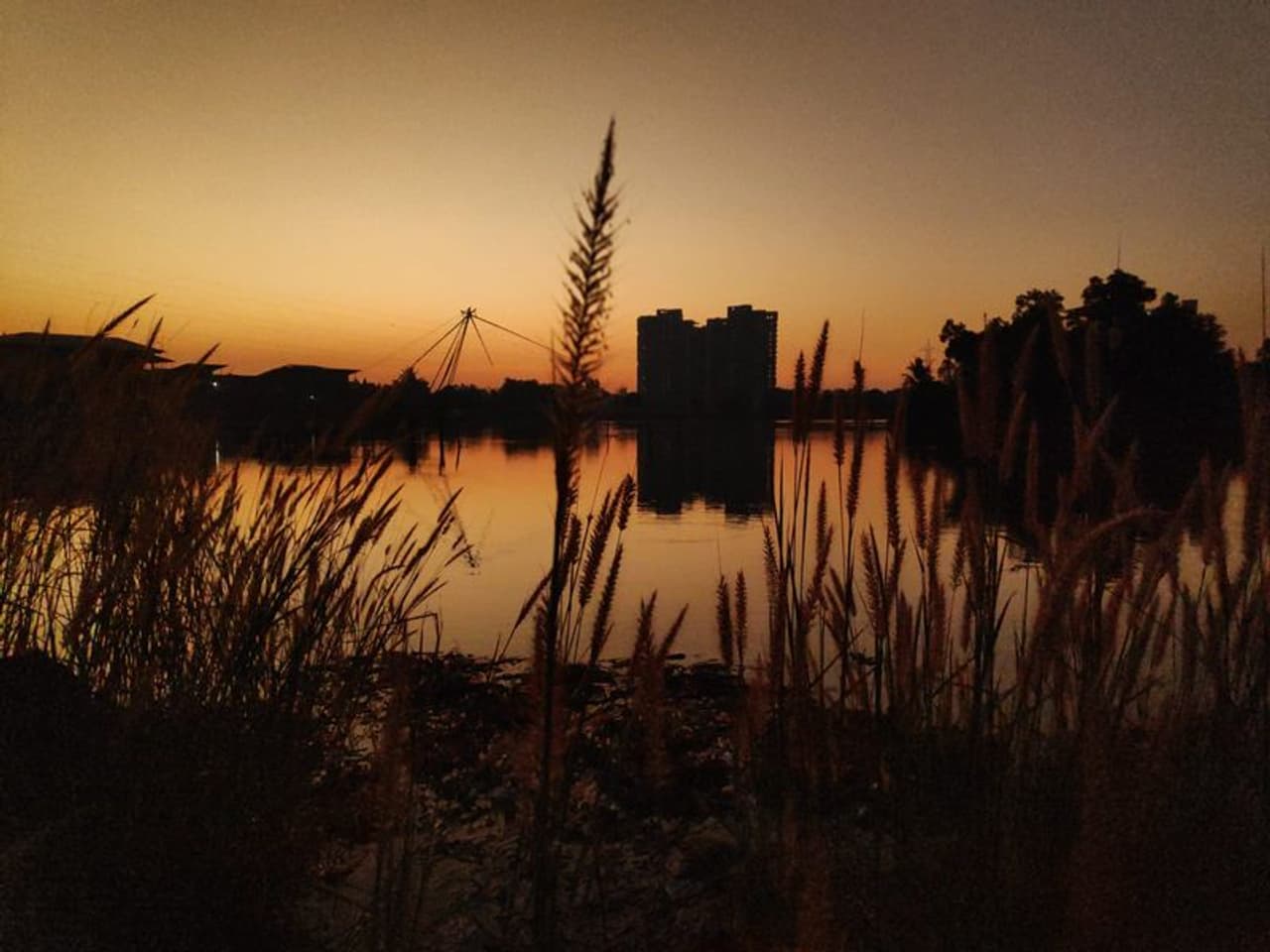 തിങ്കളാഴ്ച സുപ്രീം കോടതിയെ മരടിലെ എല്ലാ ഫ്ലാറ്റുകളും തകർത്ത കാര്യം സംസ്ഥാന സർക്കാർ അറിയിക്കും. സമീപത്തെ വീടുകൾക്കൊന്നും നാശനഷ്ടമില്ലാതെ ഫ്ലാറ്റ് പൊളിക്കാനായതിൽ സർക്കാറിന് ആശ്വസിക്കാം. തിങ്കളാഴ്ച സുപ്രീം കോടതിയെ മരടിലെ എല്ലാ ഫ്ലാറ്റുകളും തകർത്ത കാര്യം സംസ്ഥാന സർക്കാർ അറിയിക്കും. സമീപത്തെ വീടുകൾക്കൊന്നും നാശനഷ്ടമില്ലാതെ ഫ്ലാറ്റ് പൊളിക്കാനായതിൽ സർക്കാറിന് ആശ്വസിക്കാം.