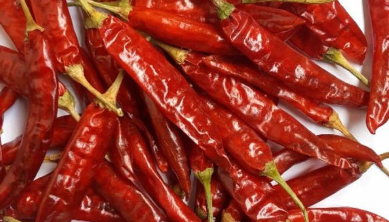 red chilli astrology remedies for money red chilli astrology remedies for money