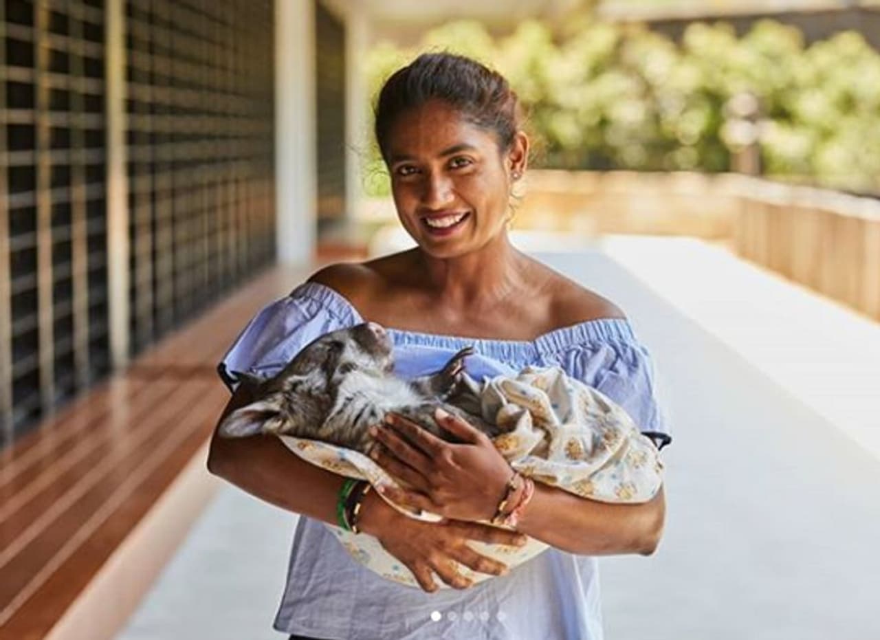 குழந்தை போல் மிருகத்தை கையில் ஏந்தி போஸ் குழந்தை போல் மிருகத்தை கையில் ஏந்தி போஸ்