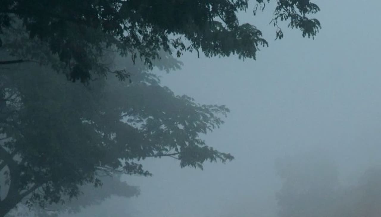 ಮೈಸೂರಿನಲ್ಲಿ ಮುಂಜಾವ ಮಂಜು ಕವಿದಿರುವುದು. ಮೈಸೂರಿನಲ್ಲಿ ಮುಂಜಾವ ಮಂಜು ಕವಿದಿರುವುದು.