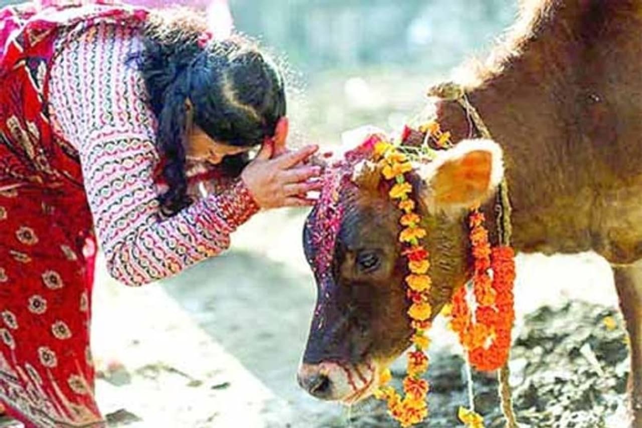 <p><strong>ಭಾನುವಾರ</strong><br />ಈ ದಿನ ಸೂರ್ಯನಿಗೆ ಮೀಸಲು. ಕೆಂಪು ಈ ದಿನದ ಬಣ್ಣ. ಈ ಉಪವಾಸವು ಆಸೆಗಳನ್ನು ಪೂರೈಸುತ್ತದೆ. ಚರ್ಮ ರೋಗಗಳಿಂದ ಬಳಲುತ್ತಿರುವವರು ಇದನ್ನು ತೊಡೆದು ಹಾಕಲು ಈ ಉಪವಾಸವನ್ನು ಆಚರಿಸುತ್ತಾರೆ. ದೇಹ ಮತ್ತು ಸುತ್ತಮುತ್ತಲಿನ ಸ್ವಚ್ಛತೆಗೆ ಹೆಚ್ಚಿನ ಪ್ರಾಮುಖ್ಯತೆ ನೀಡಲಾಗುತ್ತದೆ. ಪ್ರಾರ್ಥನೆಗೆ ಕೆಂಪು ಹೂವನ್ನು ಅರ್ಪಿಸಲಾಗುತ್ತದೆ ಮತ್ತು ಹಣೆ ಮೇಲೆ ಕೆಂಪು ಬಣ್ಣದ ಶ್ರೀಗಂಧದ ತಿಲಕವನ್ನು ಹಚ್ಚಲಾಗುತ್ತದೆ.</p> <p><strong>ಭಾನುವಾರ</strong><br />ಈ ದಿನ ಸೂರ್ಯನಿಗೆ ಮೀಸಲು. ಕೆಂಪು ಈ ದಿನದ ಬಣ್ಣ. ಈ ಉಪವಾಸವು ಆಸೆಗಳನ್ನು ಪೂರೈಸುತ್ತದೆ. ಚರ್ಮ ರೋಗಗಳಿಂದ ಬಳಲುತ್ತಿರುವವರು ಇದನ್ನು ತೊಡೆದು ಹಾಕಲು ಈ ಉಪವಾಸವನ್ನು ಆಚರಿಸುತ್ತಾರೆ. ದೇಹ ಮತ್ತು ಸುತ್ತಮುತ್ತಲಿನ ಸ್ವಚ್ಛತೆಗೆ ಹೆಚ್ಚಿನ ಪ್ರಾಮುಖ್ಯತೆ ನೀಡಲಾಗುತ್ತದೆ. ಪ್ರಾರ್ಥನೆಗೆ ಕೆಂಪು ಹೂವನ್ನು ಅರ್ಪಿಸಲಾಗುತ್ತದೆ ಮತ್ತು ಹಣೆ ಮೇಲೆ ಕೆಂಪು ಬಣ್ಣದ ಶ್ರೀಗಂಧದ ತಿಲಕವನ್ನು ಹಚ್ಚಲಾಗುತ್ತದೆ.</p>