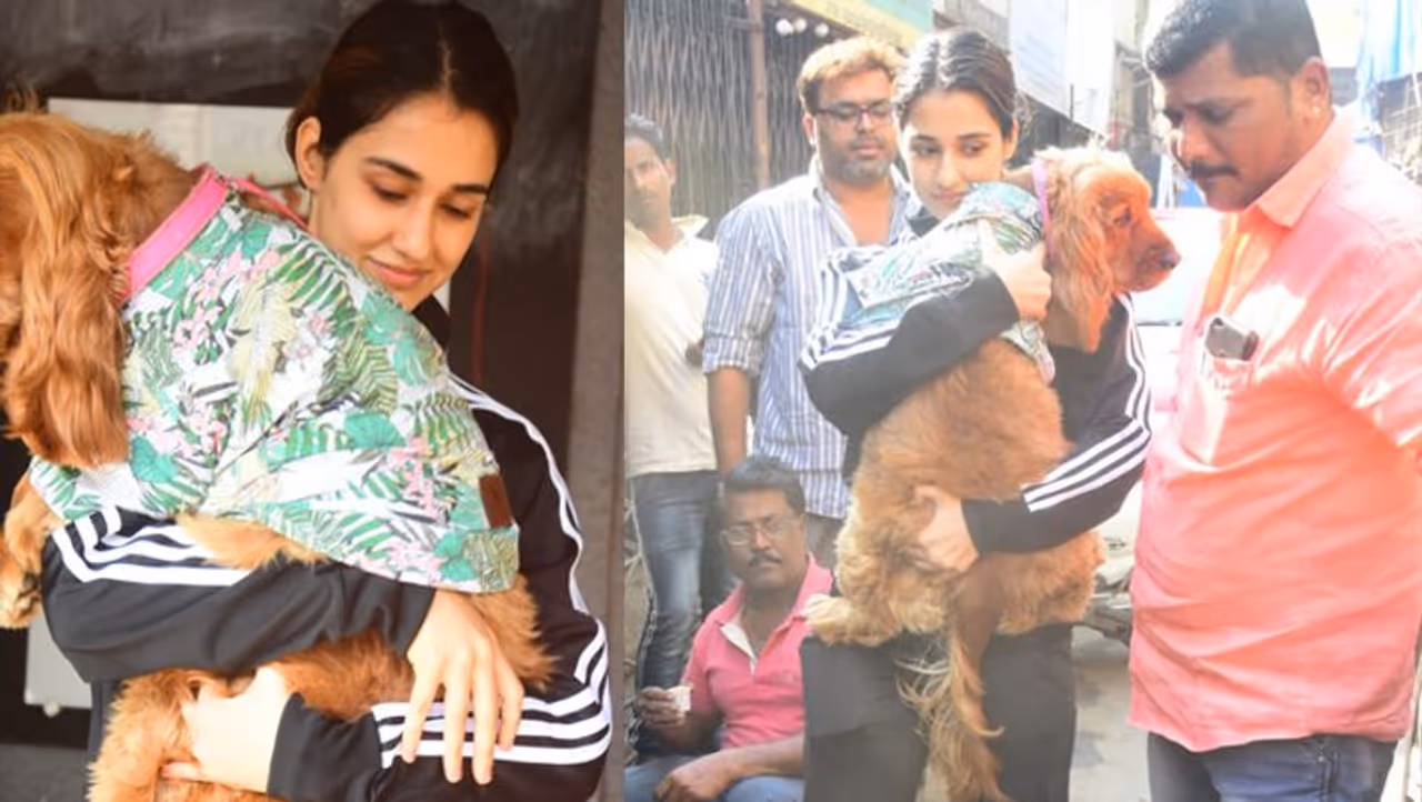 Disha Patani, who is known for her dance moves, is now trending on Twitter for her humble responses. After the release of her movie Malang with Aditya Roy Kapoor, the actress on Twitter introduced hashtag #AskDisha for her fans to ask questions. Since then, her fans have been flooding her social media page with questions. From her pet's name to her next project, so many questions were asked. The actress has been responding patiently making her fans happy. Disha Patani, who is known for her dance moves, is now trending on Twitter for her humble responses. After the release of her movie Malang with Aditya Roy Kapoor, the actress on Twitter introduced hashtag #AskDisha for her fans to ask questions. Since then, her fans have been flooding her social media page with questions. From her pet's name to her next project, so many questions were asked. The actress has been responding patiently making her fans happy.