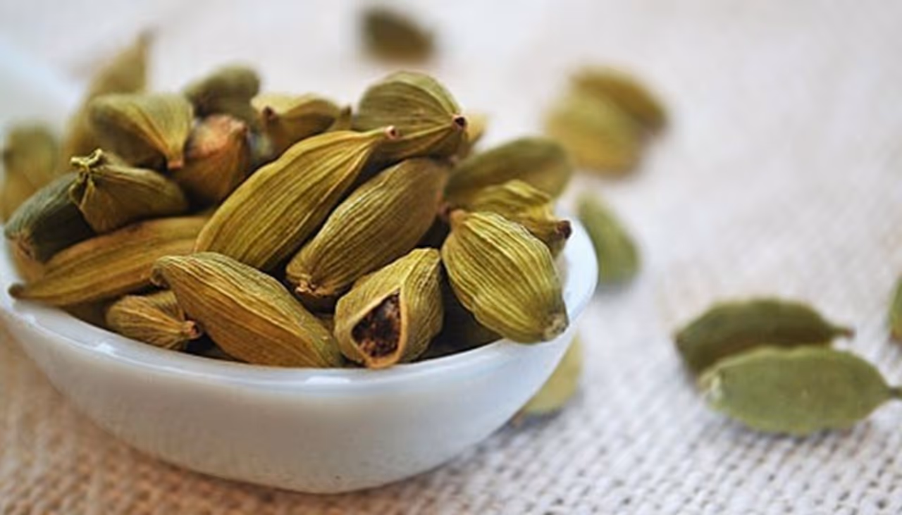 <p><strong>ಏಲಕ್ಕಿಯಲ್ಲಿ ಏನು ಕಂಡುಬರುತ್ತದೆ?</strong><br />ವಾಸ್ತವವಾಗಿ, ಏಲಕ್ಕಿಯಲ್ಲಿ ಮುಖ್ಯವಾಗಿ ಕಾರ್ಬೋಹೈಡ್ರೇಟ್ಗಳು, ಆಹಾರದ ಫೈಬರ್, ಕ್ಯಾಲ್ಸಿಯಂ, ಪೊಟ್ಯಾಷಿಯಮ್, ಮೆಗ್ನೀಷಿಯಮ್, ಕಬ್ಬಿಣ ಮತ್ತು ರಂಜಕಗಳಿರುತ್ತವೆ. ಇವು ಆರೋಗ್ಯಕರ ದೇಹಕ್ಕೆ ಬಹಳ ಪ್ರಯೋಜನಕಾರಿ.</p> <p><strong>ಏಲಕ್ಕಿಯಲ್ಲಿ ಏನು ಕಂಡುಬರುತ್ತದೆ?</strong><br />ವಾಸ್ತವವಾಗಿ, ಏಲಕ್ಕಿಯಲ್ಲಿ ಮುಖ್ಯವಾಗಿ ಕಾರ್ಬೋಹೈಡ್ರೇಟ್ಗಳು, ಆಹಾರದ ಫೈಬರ್, ಕ್ಯಾಲ್ಸಿಯಂ, ಪೊಟ್ಯಾಷಿಯಮ್, ಮೆಗ್ನೀಷಿಯಮ್, ಕಬ್ಬಿಣ ಮತ್ತು ರಂಜಕಗಳಿರುತ್ತವೆ. ಇವು ಆರೋಗ್ಯಕರ ದೇಹಕ್ಕೆ ಬಹಳ ಪ್ರಯೋಜನಕಾರಿ.</p>