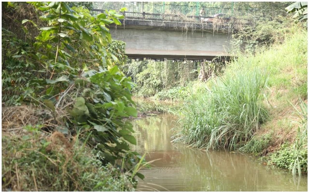 കരകവിയാത്ത കിള്ളിയാര്‍ എന്ന സന്ദേശമുയര്‍ത്തി കിള്ളിയാര്‍ മിഷന്‍റെ നേതൃത്വത്തിലായിരുന്നു യജ്ഞനം.