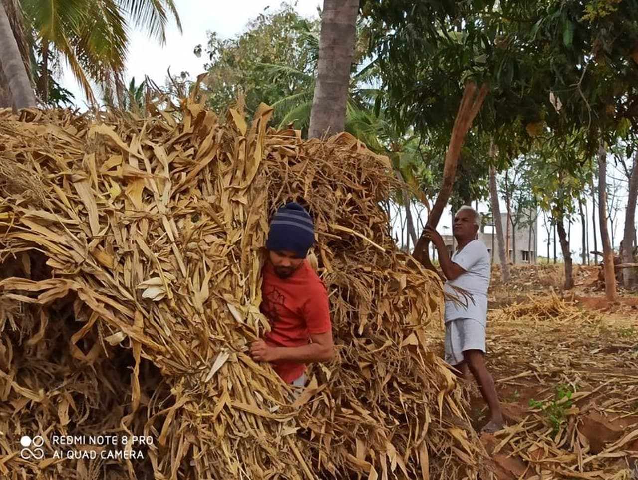‘ಬಿಗ್ ಬಾಸ್ ಕನ್ನಡ ಸೀಸನ್ 4’ ವಿನ್ನರ್ ಒಳ್ಳೆ ಹುಡುಗ ಪ್ರಥಮ ಕೊಟ್ಟ ಮಾತಿನಂತೆ ಕೃಷಿಯಲ್ಲಿ ತೊಡಗಿಸಿಕೊಂಡು ಮಾತು ಉಳಿಸಿಕೊಂಡಿದ್ದಾರೆ.