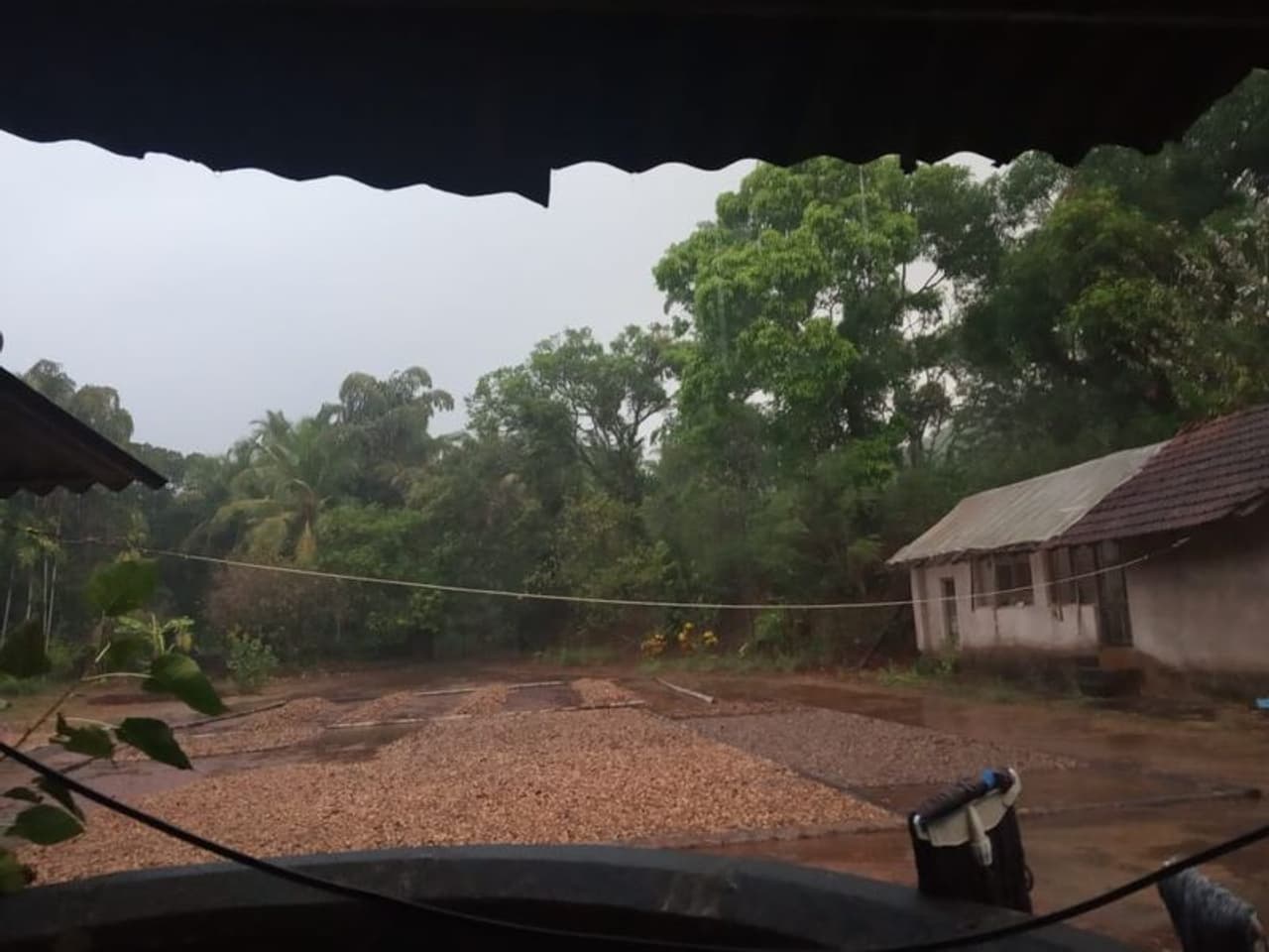 ಒಡಿಶಾದಲ್ಲಿ ಮಳೆ ಹಿನ್ನೆಲೆಯಲ್ಲಿ ಕರ್ನಾಟಕದಲ್ಲೂ ಮಳೆ ಕಾಣಿಸಿದೆ. ಗುರುವಾರ ಮುಂಜಾನೆ ಮಂಗಳೂರು ನಗರ ಹೊರತುಪಡಿಸಿ ದ.ಕ. ಜಿಲ್ಲೆಯಾದ್ಯಂತ ಹಠಾತ್ತನೆ ಧಾರಾಕಾರ ಮಳೆ ಸುರಿದಿದೆ. ಒಡಿಶಾದಲ್ಲಿ ಮಳೆ ಹಿನ್ನೆಲೆಯಲ್ಲಿ ಕರ್ನಾಟಕದಲ್ಲೂ ಮಳೆ ಕಾಣಿಸಿದೆ. ಗುರುವಾರ ಮುಂಜಾನೆ ಮಂಗಳೂರು ನಗರ ಹೊರತುಪಡಿಸಿ ದ.ಕ. ಜಿಲ್ಲೆಯಾದ್ಯಂತ ಹಠಾತ್ತನೆ ಧಾರಾಕಾರ ಮಳೆ ಸುರಿದಿದೆ.