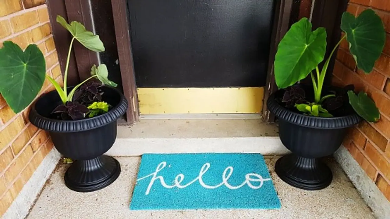 <p>ವಾಸ್ತು ಪ್ರಕಾರ, ಕೆಲವು ವಸ್ತುಗಳನ್ನು ಡೋರ್ ಮ್ಯಾಟ್ ಕೆಳಗೆ ಇಡುವುದು ವ್ಯಕ್ತಿಯ ಅದೃಷ್ಟದ ಬಾಗಿಲನ್ನು ತೆರೆಯುತ್ತದೆ. ಅಲ್ಲದೆ, ಲಕ್ಷ್ಮೀ ದೇವಿ ಅಂತಹ ಮನೆಯಲ್ಲಿ ನೆಲೆಸುತ್ತಾಳೆ ಎಂದು ಹೇಳಲಾಗುತ್ತದೆ. ಅಂತಹ ಪರಿಸ್ಥಿತಿಯಲ್ಲಿ, ಯಾವ ವಸ್ತುಗಳನ್ನು ಡೋರ್ ಮ್ಯಾಟ್ ಕೆಳಗೆ ಇಡಬೇಕು ಎಂದು ತಿಳಿಯುವುದು ಬಹಳ ಮುಖ್ಯ.</p> <p>ವಾಸ್ತು ಪ್ರಕಾರ, ಕೆಲವು ವಸ್ತುಗಳನ್ನು ಡೋರ್ ಮ್ಯಾಟ್ ಕೆಳಗೆ ಇಡುವುದು ವ್ಯಕ್ತಿಯ ಅದೃಷ್ಟದ ಬಾಗಿಲನ್ನು ತೆರೆಯುತ್ತದೆ. ಅಲ್ಲದೆ, ಲಕ್ಷ್ಮೀ ದೇವಿ ಅಂತಹ ಮನೆಯಲ್ಲಿ ನೆಲೆಸುತ್ತಾಳೆ ಎಂದು ಹೇಳಲಾಗುತ್ತದೆ. ಅಂತಹ ಪರಿಸ್ಥಿತಿಯಲ್ಲಿ, ಯಾವ ವಸ್ತುಗಳನ್ನು ಡೋರ್ ಮ್ಯಾಟ್ ಕೆಳಗೆ ಇಡಬೇಕು ಎಂದು ತಿಳಿಯುವುದು ಬಹಳ ಮುಖ್ಯ.</p>