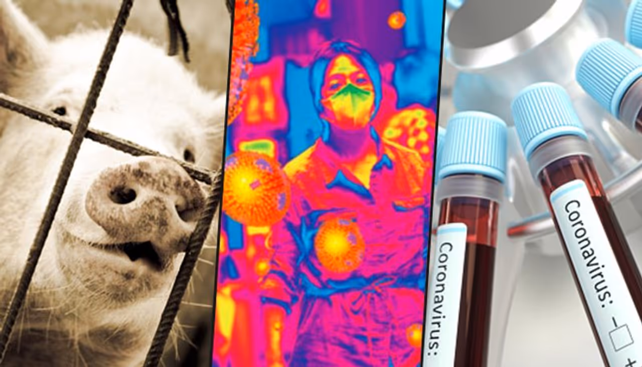 Going by the cycle of events, one tends to believe if this is a pattern scripted by God. A pandemic devastates the world every century and perhaps coronavirus is being goaded by destiny in this cycle. Let's delve into history. The world was plagued by the pandemic called 'plague' in 1720. Cholera shook the world in 1820. This was followed by Spanish flu in 1920. These events marked the dark years for the world and its citizens during those traumatic times.