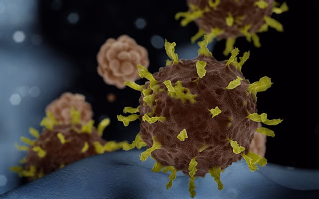 ಹಲವು ದೇಶಗಳಿಗೆ ಹರಡಿರುವ ಚೀನಾ ಮೂಲದ ಮಾರಣಾಂತಿಕ ಕೊರೋನಾ ವೈರಸ್ ಒಂದು ಅಂಟು ರೋಗ. ಭಯ ಬೇಡ ಕರೋನಾ ಬಂದ ತಕ್ಷಣ ಸಾಯೋಲ್ಲ ಆದರೆ ಬರದಂತೆ ನೋಡಿಕೊಳೋಣ. ಹಲವು ದೇಶಗಳಿಗೆ ಹರಡಿರುವ ಚೀನಾ ಮೂಲದ ಮಾರಣಾಂತಿಕ ಕೊರೋನಾ ವೈರಸ್ ಒಂದು ಅಂಟು ರೋಗ. ಭಯ ಬೇಡ ಕರೋನಾ ಬಂದ ತಕ್ಷಣ ಸಾಯೋಲ್ಲ ಆದರೆ ಬರದಂತೆ ನೋಡಿಕೊಳೋಣ.