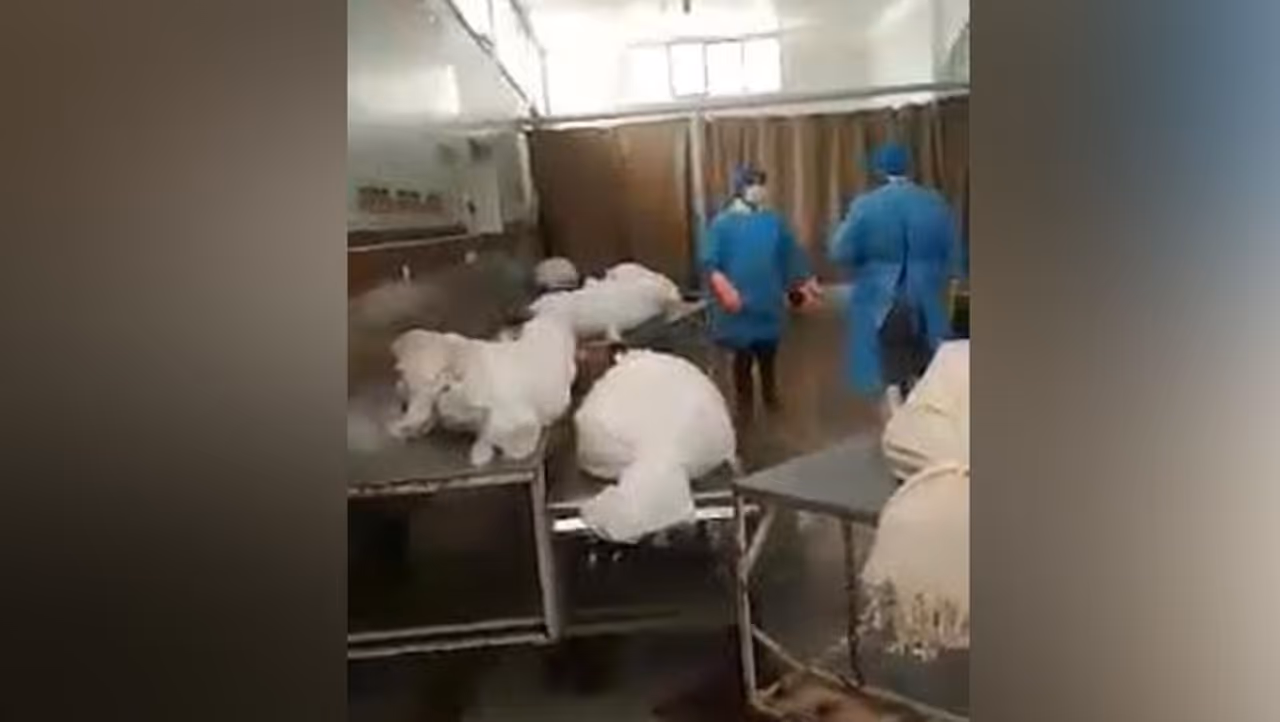 ಸೋಶಿಯಲ್ ಮಿಡಿಯಾದಲ್ಲಿ ಇರಾನ್ ದೇಶದ್ದು ಎನ್ನಲಾದ ವಿಡಿಯೋ ಒಂದು ಭಾರೀ ವೈರಲ್ ಆಗಿದೆ. ಈ ವಿಡಿಯೋ ಮ್ಯಾಕ್ಸ್ ಹೌರೌತೆ ಹೆಸರಿನ ವ್ಯಕ್ತಿ ಶೇರ್ ಮಾಡಿದ್ದಾರೆ. ಸೋಶಿಯಲ್ ಮಿಡಿಯಾದಲ್ಲಿ ಇರಾನ್ ದೇಶದ್ದು ಎನ್ನಲಾದ ವಿಡಿಯೋ ಒಂದು ಭಾರೀ ವೈರಲ್ ಆಗಿದೆ. ಈ ವಿಡಿಯೋ ಮ್ಯಾಕ್ಸ್ ಹೌರೌತೆ ಹೆಸರಿನ ವ್ಯಕ್ತಿ ಶೇರ್ ಮಾಡಿದ್ದಾರೆ.