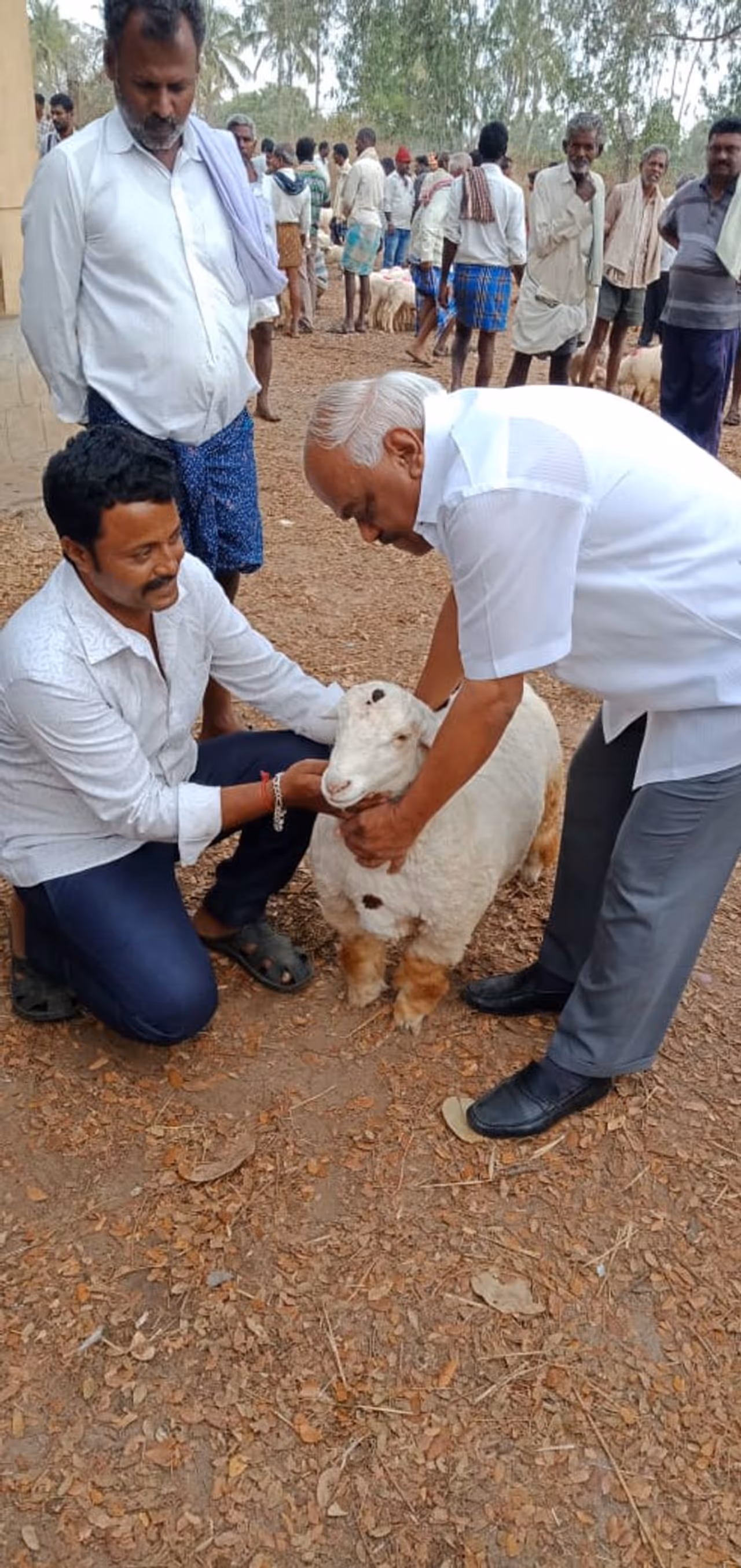 ಮಾಜಿ ಸ್ಪೀಕರ್ ರಮೇಶ್ ಕುಮಾರ್ ಸ್ಥಳೀಯ ಮಾರುಕಟ್ಟೆಯಿಂದ ಟಗರು ಮರಿಯೊಂದನ್ನು ಖರೀದಿಸಿದ್ದಾರೆ. ಮಾಜಿ ಸ್ಪೀಕರ್ ರಮೇಶ್ ಕುಮಾರ್ ಸ್ಥಳೀಯ ಮಾರುಕಟ್ಟೆಯಿಂದ ಟಗರು ಮರಿಯೊಂದನ್ನು ಖರೀದಿಸಿದ್ದಾರೆ.