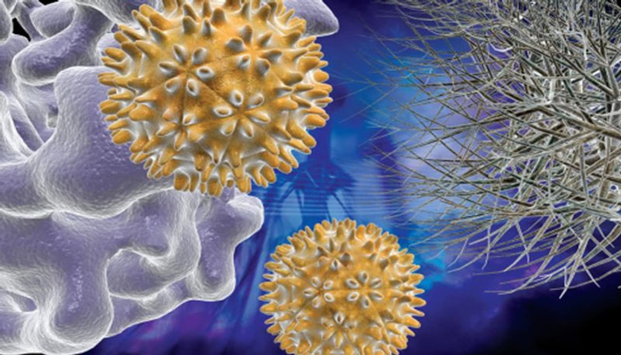 ವಿನಾಶಕ್ಕೆ ಕಾರಣವಾಗಿರುವ ಕರೋನಾ ವೈರಸ್ ಚೀನಾದಲ್ಲಿಯೇ ಹುಟ್ಟಿದ್ದು, ದೇಶದಲ್ಲಿ ಹೆಚ್ಚು ಭೀತಿಯನ್ನು ಉಂಟು ಮಾಡುತ್ತಿದೆ. ವಿನಾಶಕ್ಕೆ ಕಾರಣವಾಗಿರುವ ಕರೋನಾ ವೈರಸ್ ಚೀನಾದಲ್ಲಿಯೇ ಹುಟ್ಟಿದ್ದು, ದೇಶದಲ್ಲಿ ಹೆಚ್ಚು ಭೀತಿಯನ್ನು ಉಂಟು ಮಾಡುತ್ತಿದೆ.