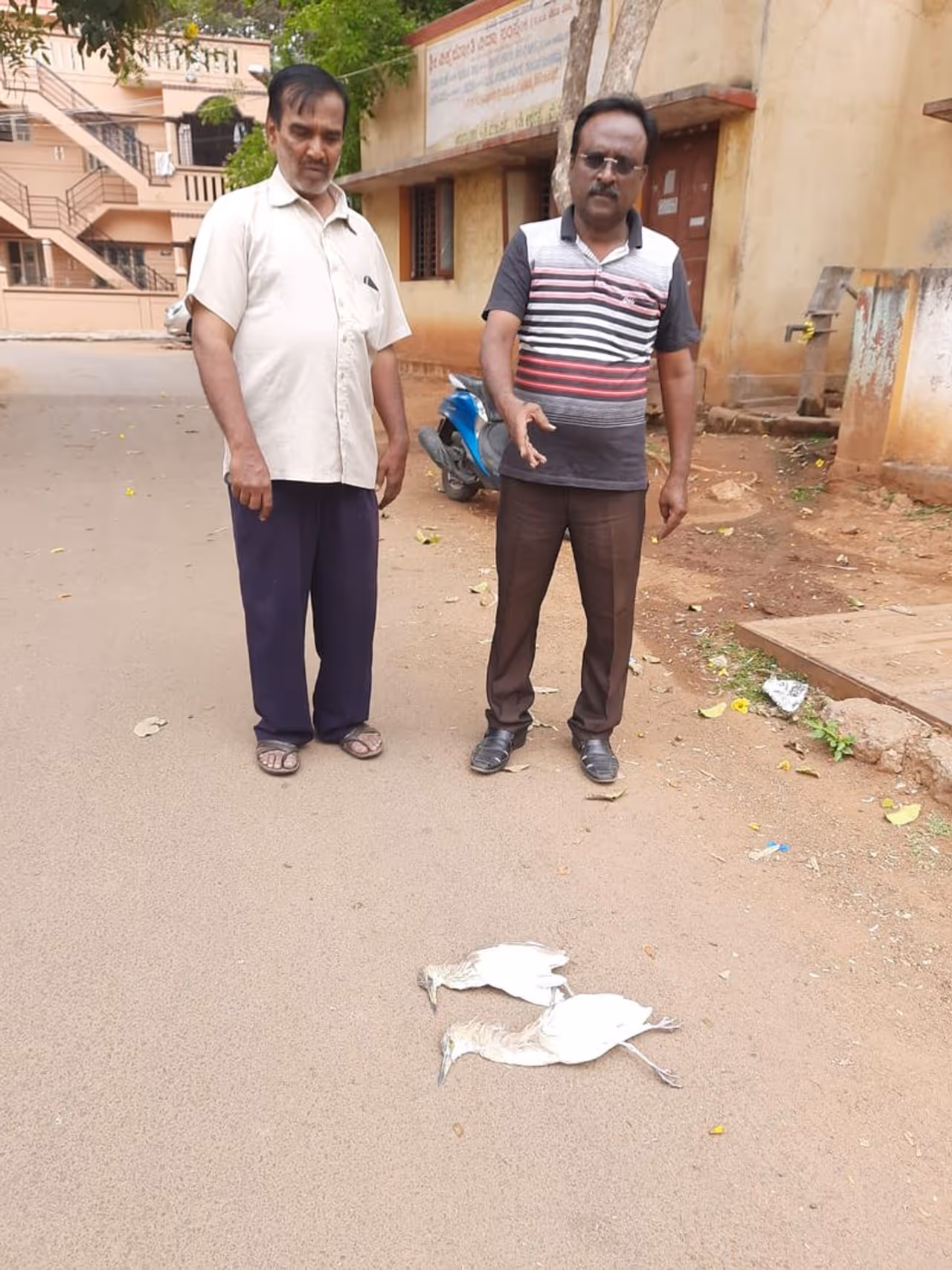 ಕೊರೋನಾ ವೈರಸ್ ಭೀತಿಯ ನಡುವೆಯೇ ಮೈಸೂರಿನಲ್ಲಿ ಹಕ್ಕಿ ಜ್ವರದ ಭೀತಿ ಎದುರಾಗಿದೆ. ಕೊರೋನಾ ವೈರಸ್ ಭೀತಿಯ ನಡುವೆಯೇ ಮೈಸೂರಿನಲ್ಲಿ ಹಕ್ಕಿ ಜ್ವರದ ಭೀತಿ ಎದುರಾಗಿದೆ.