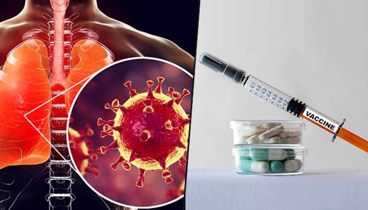 With over 1,08,000 people infected with coronavirus, the need to combat the virus has gotten all the more important. However, a piece of good news has emerged. According to reports, US and UK scientists have found a cure for this virus. With over 1,08,000 people infected with coronavirus, the need to combat the virus has gotten all the more important. However, a piece of good news has emerged. According to reports, US and UK scientists have found a cure for this virus.