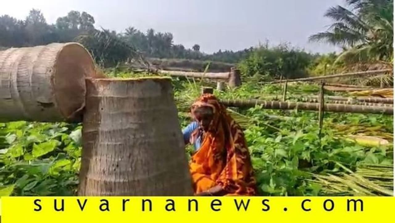 ಸದ್ಯ ತುಮಕೂರಿನಲ್ಲಿ ವೃದ್ಧೆಯೊಬ್ಬಳು ಮಕ್ಕಳಂತೆ ಸಾಕಿದ್ದ, ಆಗಸದೆತ್ತರಕ್ಕೆ ಬೆಳೆದು ನಿಂತಿದ್ದ ತೆಂಗಿನ ಹಾಗೂ ಅಡಕೆ ಮರಗಳನ್ನು ಜಾತ್ರೆಗೆಂದು ಕಡಿದು ಹಾಕಿದ ಘಟನೆ ರಾಜ್ಯಾದ್ಯಂತ ಸದ್ದು ಮಾಡುತ್ತಿದೆ. ಸದ್ಯ ತುಮಕೂರಿನಲ್ಲಿ ವೃದ್ಧೆಯೊಬ್ಬಳು ಮಕ್ಕಳಂತೆ ಸಾಕಿದ್ದ, ಆಗಸದೆತ್ತರಕ್ಕೆ ಬೆಳೆದು ನಿಂತಿದ್ದ ತೆಂಗಿನ ಹಾಗೂ ಅಡಕೆ ಮರಗಳನ್ನು ಜಾತ್ರೆಗೆಂದು ಕಡಿದು ಹಾಕಿದ ಘಟನೆ ರಾಜ್ಯಾದ್ಯಂತ ಸದ್ದು ಮಾಡುತ್ತಿದೆ.