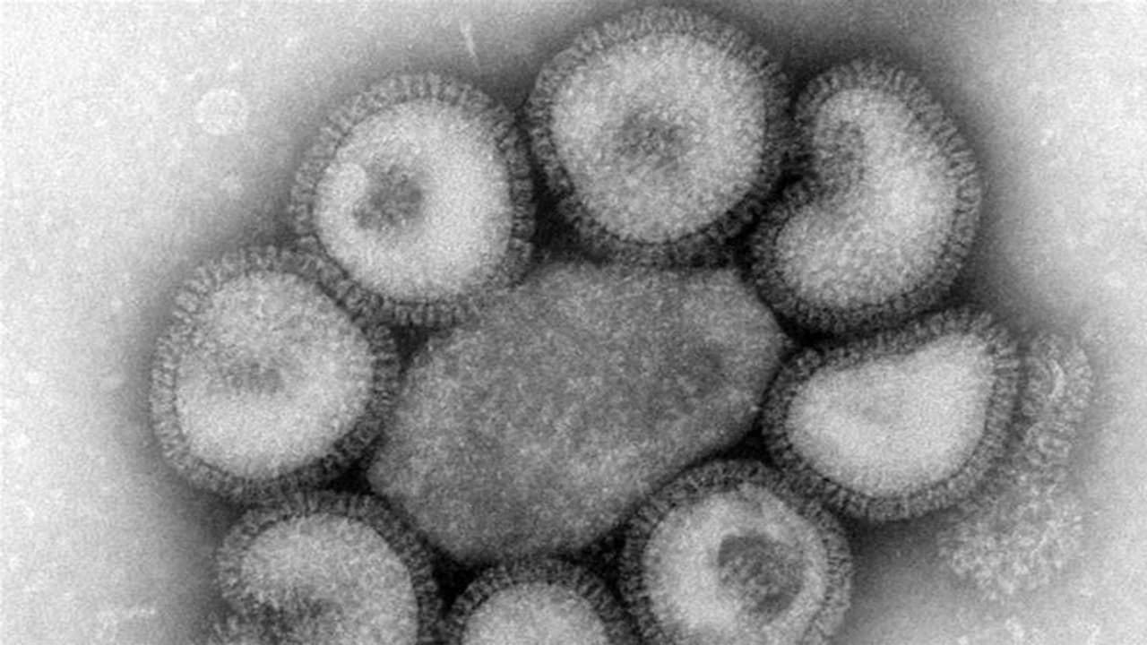 <p>కరోనా వైరస్ లో జన్యు మార్పులు, కరోనా స్ట్రెయిన్.. కొత్తరకం కరోనా ఇప్పుడు ప్రపంచదేశాల్ని వణికిస్తున్నాయి. వీటికి మూలకేంద్రం బ్రిటన్ కావడంతో బ్రిటన్ పేరు చెబితేనే ప్రపంచం వణికిపోతోంది. అందుకే బ్రిటన్ నుంచి విమానాల రాకపోకలపై అన్ని దేశాలు నిషేధం విధిస్తున్నాయి. </p> <p>కరోనా వైరస్ లో జన్యు మార్పులు, కరోనా స్ట్రెయిన్.. కొత్తరకం కరోనా ఇప్పుడు ప్రపంచదేశాల్ని వణికిస్తున్నాయి. వీటికి మూలకేంద్రం బ్రిటన్ కావడంతో బ్రిటన్ పేరు చెబితేనే ప్రపంచం వణికిపోతోంది. అందుకే బ్రిటన్ నుంచి విమానాల రాకపోకలపై అన్ని దేశాలు నిషేధం విధిస్తున్నాయి. </p>