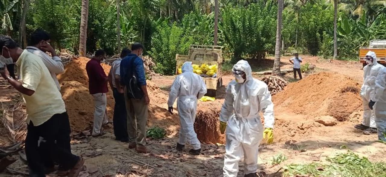 പക്ഷിപ്പനി സ്ഥിരീകരിച്ച മലപ്പുറം പരപ്പനങ്ങാടിയിൽ കോഴികളേയും താറാവുകളേയും വളർത്തു പക്ഷികളേയുമാണ് ഇന്ന് കൊന്നു തുടങ്ങിയത്.