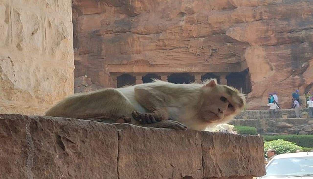 ಕೊರೋನಾ ಭೀತಿ ಹಿನ್ನೆಲೆಯಲ್ಲಿ ಐತಿಹಾಸಿಕ ತಾಣಗಳ ಪ್ರವೇಶಕ್ಕೆ ಪ್ರವಾಸಿಗರಿಗೆ ನಿಷೇಧ ಕೊರೋನಾ ಭೀತಿ ಹಿನ್ನೆಲೆಯಲ್ಲಿ ಐತಿಹಾಸಿಕ ತಾಣಗಳ ಪ್ರವೇಶಕ್ಕೆ ಪ್ರವಾಸಿಗರಿಗೆ ನಿಷೇಧ