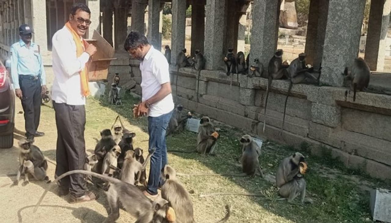 ಕೊರೋನಾ ಭೀತಿ ಹಿನ್ನಲೆಯಲ್ಲಿ ಆಹಾರವಿಲ್ಲದೆ ಕೋತಿಗಳ ಪರದಾಟ ಕೊರೋನಾ ಭೀತಿ ಹಿನ್ನಲೆಯಲ್ಲಿ ಆಹಾರವಿಲ್ಲದೆ ಕೋತಿಗಳ ಪರದಾಟ
