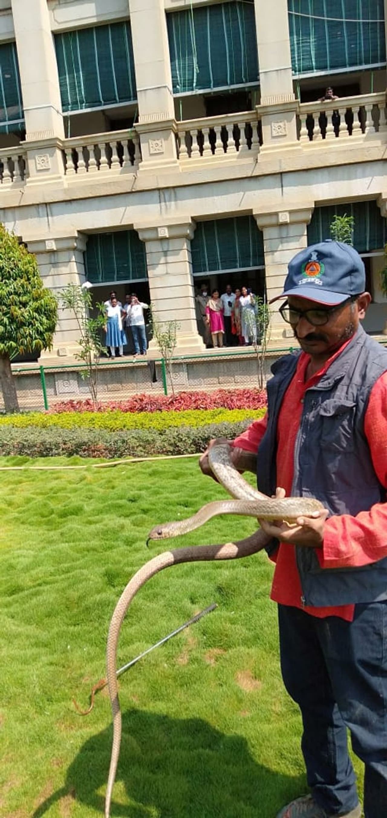 ಒಂದ್ ಕ್ಷಣ ಕೊರೋನಾ ವೈರಸ್‌ಗಿಂತ ಹೆಚ್ಚು 7 ಅಡಿ ಉದ್ದದ ಹಾವು ಎಲ್ಲರನ್ನ ಭಯ ಹುಟ್ಟಿಸಿದ...!