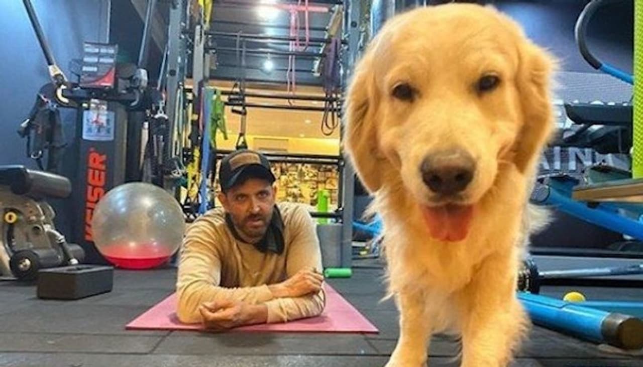 During nationwide lockdown due to the deadly coronavirus, Bollywood celebs are keeping themselves busy by chilling with their family, doing daily household work and improving their talent. During nationwide lockdown due to the deadly coronavirus, Bollywood celebs are keeping themselves busy by chilling with their family, doing daily household work and improving their talent.