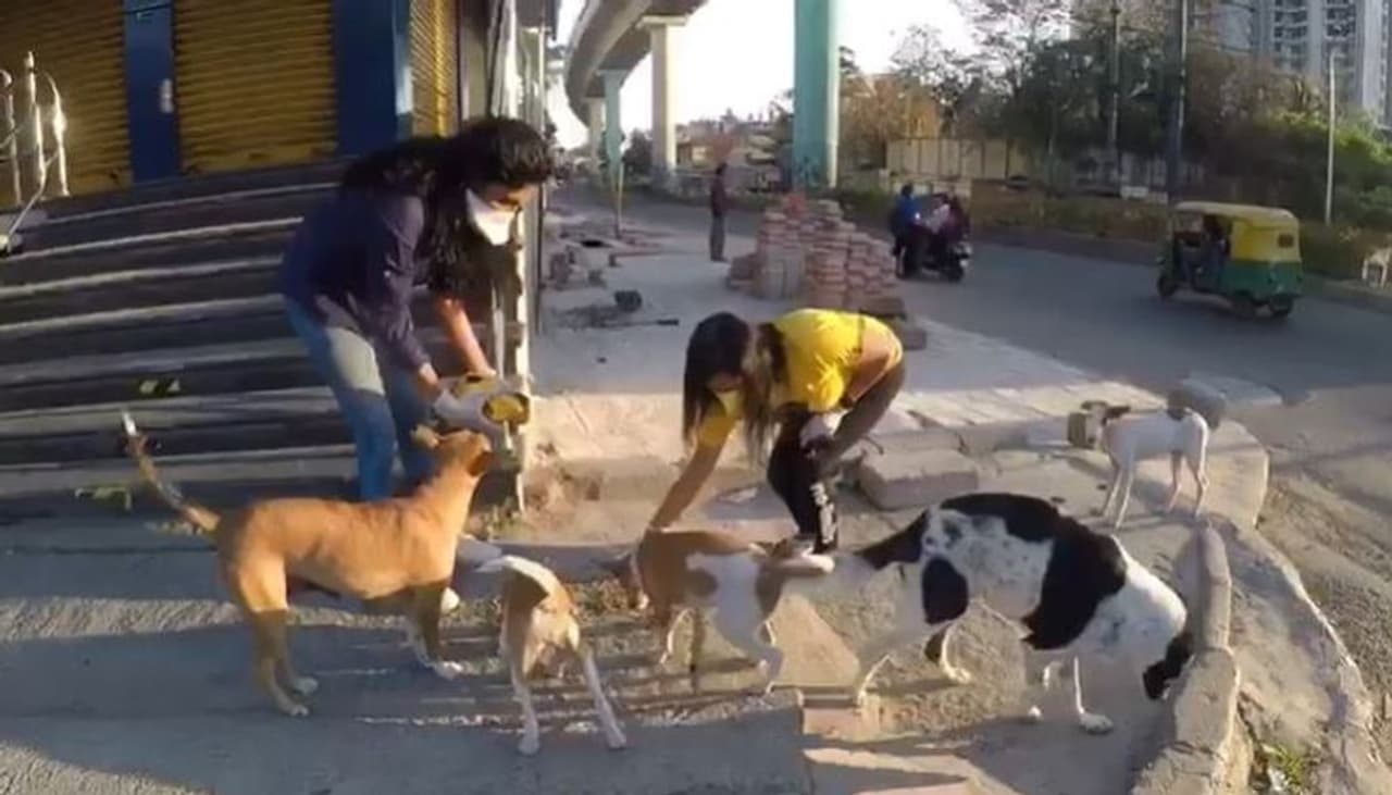 ಕನ್ನಡ ಚಿತ್ರರಂಗದ ಹೆಸರಾಂತ ನಟಿ ಸುಧಾ ಬೆಳವಾಡಿ ಪುತ್ರಿ ಸಂಯುಕ್ತಾ ಹೊರನಾಡ್