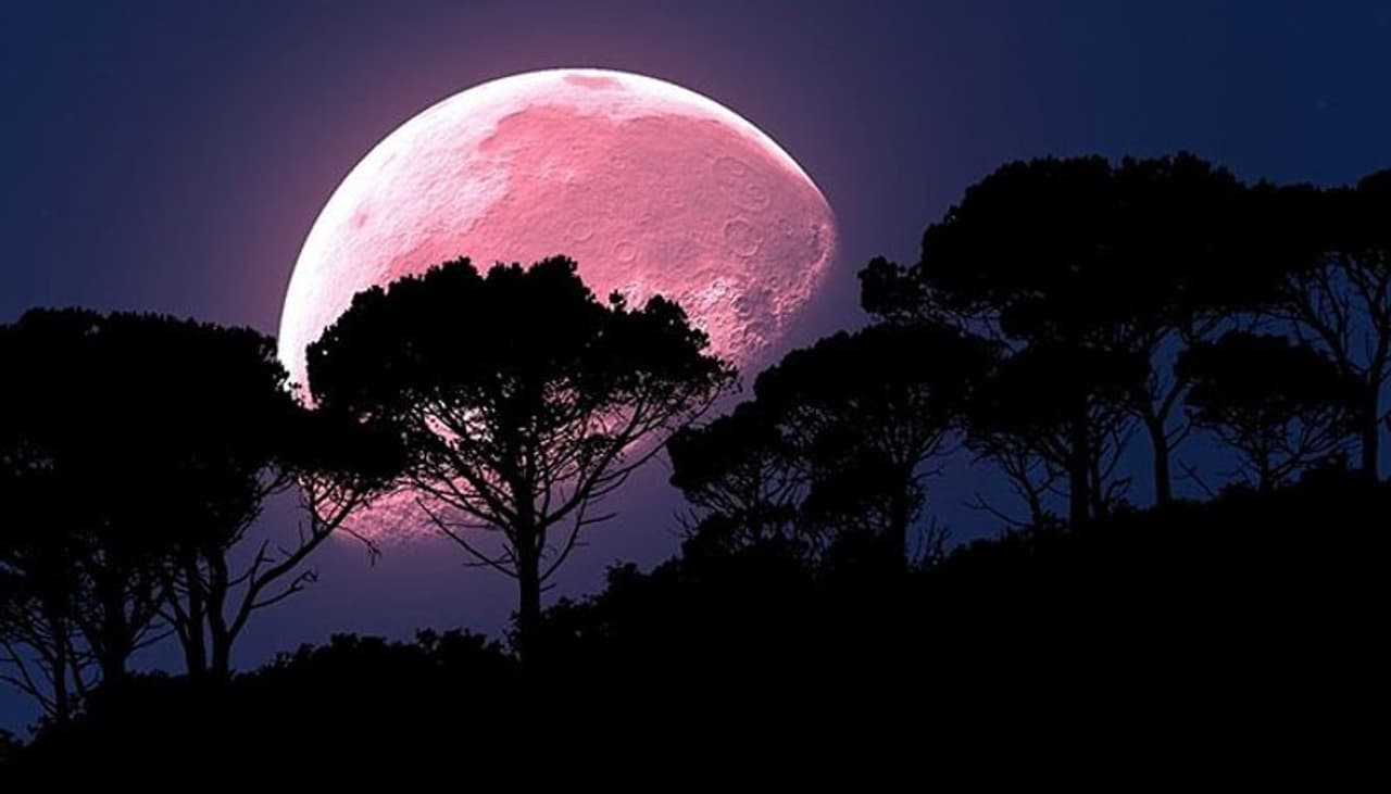 ఆకాశంలో చందమామ ఎప్పుడు చూసినా.. మల్లెపువ్వులాంటి తెలుపుతో కనపడుతుంది. అదే పౌర్ణమి రోజు మరింత ప్రకాశవంతంగా కనిపిస్తుంది. అయితే.. ఈ సారి పౌర్ణమి రోజు మాత్రం చందమామ.. తెలుపు రంగులో కాకుండా.. గులాబీ రంగులో కనపడనుంది. ఆకాశంలో చందమామ ఎప్పుడు చూసినా.. మల్లెపువ్వులాంటి తెలుపుతో కనపడుతుంది. అదే పౌర్ణమి రోజు మరింత ప్రకాశవంతంగా కనిపిస్తుంది. అయితే.. ఈ సారి పౌర్ణమి రోజు మాత్రం చందమామ.. తెలుపు రంగులో కాకుండా.. గులాబీ రంగులో కనపడనుంది.