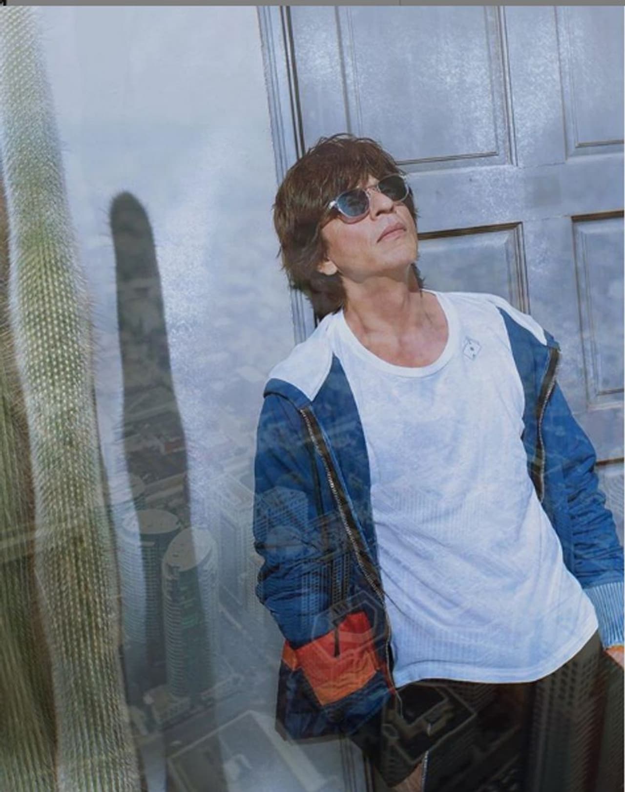 ಶಾರುಖ್‌ ಖಾನ್‌ ಇನ್‌ಸ್ಟಾಗ್ರಾಮ್ ಪೋಸ್ಟ್‌ನಿಂದ 80 ರಿಂದ 100 ಮಿಲಿಯನ್ ರೂಪಾಯಿ ಗಳಿಸುತ್ತಾರೆ.&nbsp;