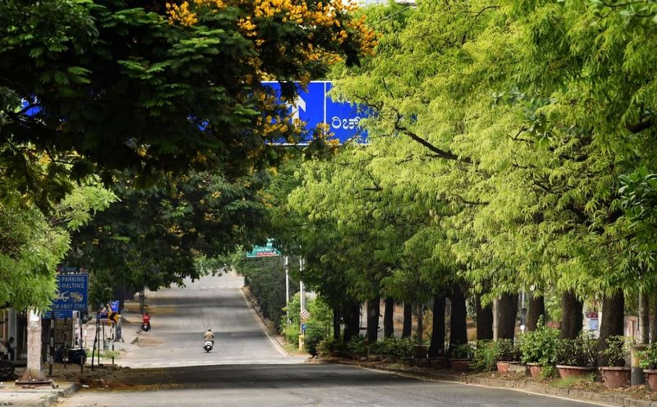 ಬೆಂಗಳೂರಿನ ರಿಚ್ಮಂಡ್ ರಸ್ತೆಯಲ್ಲಿ ರಸ್ತೆಫಲಕವನ್ನೇ ಮುಚ್ಚುವಂತೆ ಆವರಿಸಿರುವ ಹಸಿರು ಬೆಂಗಳೂರಿನ ರಿಚ್ಮಂಡ್ ರಸ್ತೆಯಲ್ಲಿ ರಸ್ತೆಫಲಕವನ್ನೇ ಮುಚ್ಚುವಂತೆ ಆವರಿಸಿರುವ ಹಸಿರು