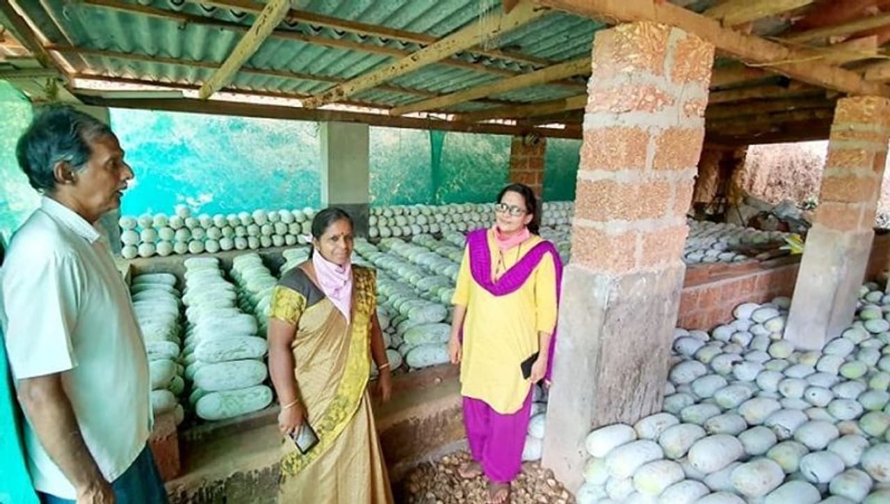 <p>ಕೊರೋನಾ ಸೋಂಕಿನ ಹಿನ್ನೆಲೆಯಲ್ಲಿ ಲಾಕ್ಡೌನ್ನಿಂದಾಗಿ ಬೀದಿಪಾಲಾಗಲಿದ್ದ 14 ಸಾವಿರ ಕೆ.ಜಿ. ಕುಂಬಳ ಕಾಯಿಯ ಫೋಟೋವನ್ನು ಜಾಲತಾಣದಲ್ಲಿ ಹಾಕಿದ ಪರಿಣಾಮ ಕುಂಬಳ ಕಾಯಿ ಖರೀದಿಗೆ ಸ್ವತಃ ಸರ್ಕಾರವೇ ಮುಂದಾದ ವಿದ್ಯಮಾನ ಕೇರಳದ ಕಾಸರಗೋಡು ಜಿಲ್ಲೆಯ ಬದಿಯಡ್ಕದಲ್ಲಿ ನಡೆದಿದೆ.</p> <p>ಕೊರೋನಾ ಸೋಂಕಿನ ಹಿನ್ನೆಲೆಯಲ್ಲಿ ಲಾಕ್ಡೌನ್ನಿಂದಾಗಿ ಬೀದಿಪಾಲಾಗಲಿದ್ದ 14 ಸಾವಿರ ಕೆ.ಜಿ. ಕುಂಬಳ ಕಾಯಿಯ ಫೋಟೋವನ್ನು ಜಾಲತಾಣದಲ್ಲಿ ಹಾಕಿದ ಪರಿಣಾಮ ಕುಂಬಳ ಕಾಯಿ ಖರೀದಿಗೆ ಸ್ವತಃ ಸರ್ಕಾರವೇ ಮುಂದಾದ ವಿದ್ಯಮಾನ ಕೇರಳದ ಕಾಸರಗೋಡು ಜಿಲ್ಲೆಯ ಬದಿಯಡ್ಕದಲ್ಲಿ ನಡೆದಿದೆ.</p>