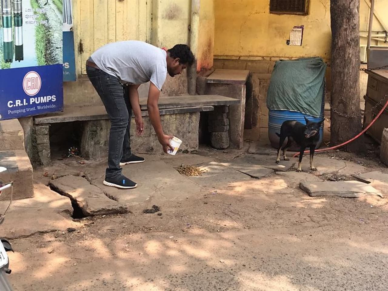 <p>ಕೂಳಿಲ್ಲದೆ ಬಳಲಿರುವ ಬೀದಿ ನಾಯಿಗಳಿಗೆ, ಬಿಡಾಡಿ ದನಗಳಿಗೆ ಯುವಕನಿಂದ ಆಹಾರ ಪೂರೈಕೆ</p> <p>ಕೂಳಿಲ್ಲದೆ ಬಳಲಿರುವ ಬೀದಿ ನಾಯಿಗಳಿಗೆ, ಬಿಡಾಡಿ ದನಗಳಿಗೆ ಯುವಕನಿಂದ ಆಹಾರ ಪೂರೈಕೆ</p>