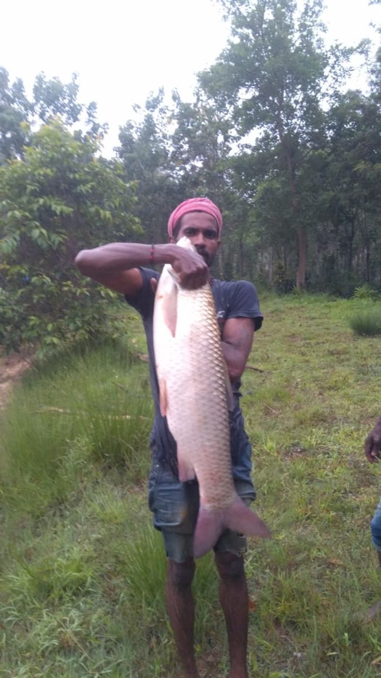 <p>ಮಡಿಕೇರಿ ತಾಲೂಕಿನ ಕಗ್ಗೋಡ್ಲುವಿನ ಮೀನು ಕೃಷಿಕ ಮಂದ್ರಿರ ತೇಜಸ್ ನಾಣಯ್ಯ ತಮ್ಮ ಎರಡು ಕೆರೆಯಲ್ಲಿ ಮೀನು ಹಿಡಿದು ವ್ಯಾಪಾರ ಮಾಡಿ ಎರಡೇ ದಿನದಲ್ಲಿ ಆರು ಲಕ್ಷ ರು. ಆದಾಯ ಗಳಿಸಿದ್ದಾರೆ.</p> <p>ಮಡಿಕೇರಿ ತಾಲೂಕಿನ ಕಗ್ಗೋಡ್ಲುವಿನ ಮೀನು ಕೃಷಿಕ ಮಂದ್ರಿರ ತೇಜಸ್ ನಾಣಯ್ಯ ತಮ್ಮ ಎರಡು ಕೆರೆಯಲ್ಲಿ ಮೀನು ಹಿಡಿದು ವ್ಯಾಪಾರ ಮಾಡಿ ಎರಡೇ ದಿನದಲ್ಲಿ ಆರು ಲಕ್ಷ ರು. ಆದಾಯ ಗಳಿಸಿದ್ದಾರೆ.</p>