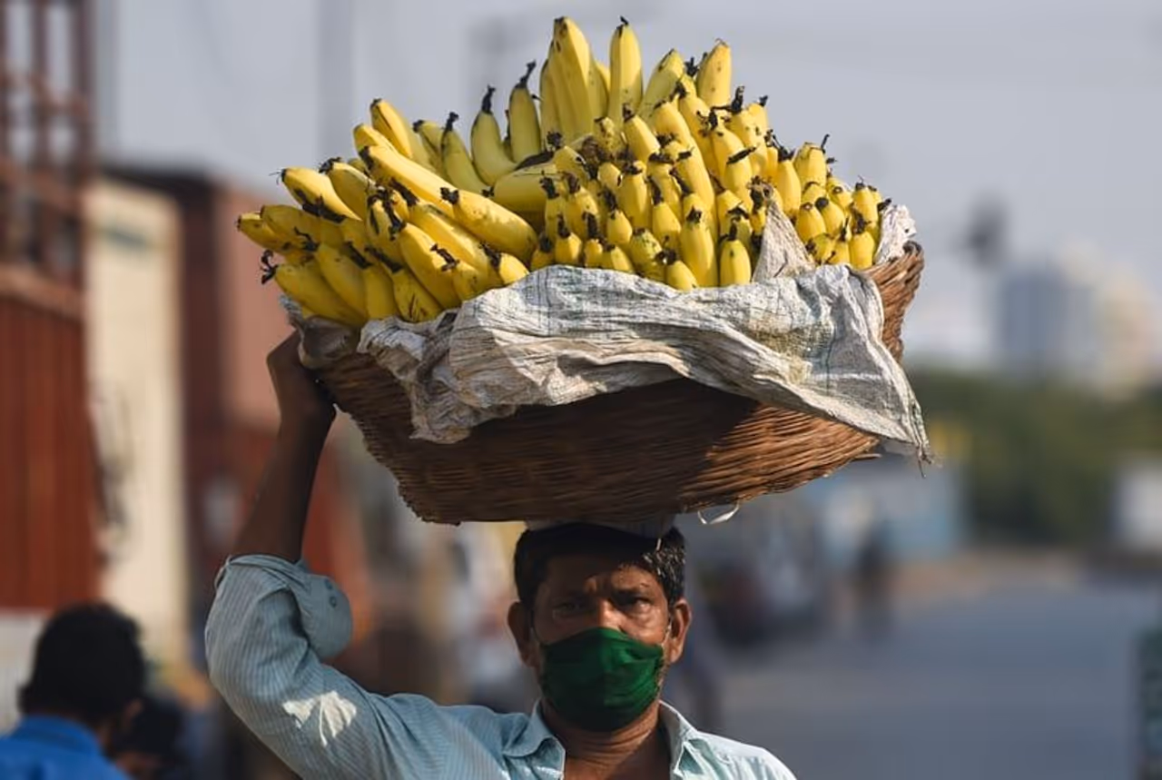 <p>ಬುಟ್ಟಿಯಲ್ಲಿ ಬಾಳೆಹಣ್ಣುಗಳನ್ನು ತುಂಬಿ ಮಾರಾಟ ಮಾಡಲು ತೆರಳುತ್ತಿರುವ ಮಾಸ್ಕ್ ಧರಿಸಿರುವ ವ್ಯಾಪಾರಿ.</p> <p>ಬುಟ್ಟಿಯಲ್ಲಿ ಬಾಳೆಹಣ್ಣುಗಳನ್ನು ತುಂಬಿ ಮಾರಾಟ ಮಾಡಲು ತೆರಳುತ್ತಿರುವ ಮಾಸ್ಕ್ ಧರಿಸಿರುವ ವ್ಯಾಪಾರಿ.</p>