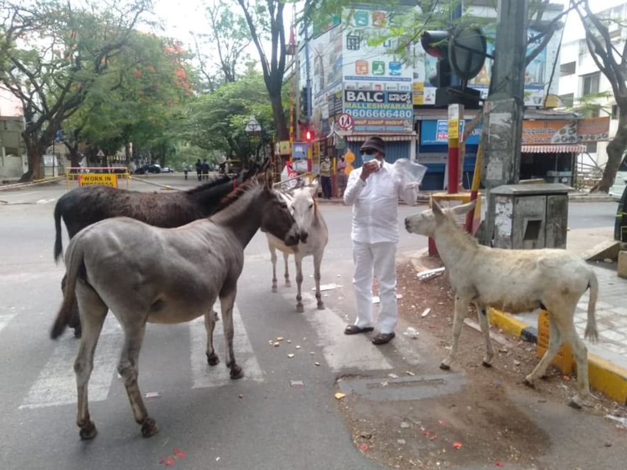 <p>ಪ್ರಾಣಿಗಳಿಗೂ ಮತ್ತು ಕನ್ನಡ ಪರ ಹೋರಾಟಗಾರ ವಾಟಾಳ್ ನಾಗರಾಜ್ ಅವರಿಗೂ ಅವಿನಾಭಾವ ಸಂಬಂಧ</p> <p>ಪ್ರಾಣಿಗಳಿಗೂ ಮತ್ತು ಕನ್ನಡ ಪರ ಹೋರಾಟಗಾರ ವಾಟಾಳ್ ನಾಗರಾಜ್ ಅವರಿಗೂ ಅವಿನಾಭಾವ ಸಂಬಂಧ</p>