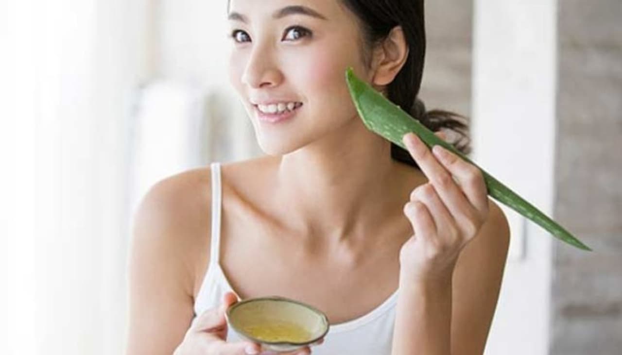 <p>Aloe vera comes as a skin saviour for most of us; thanks to its cooling and medicinal properties one can vouch for. The long succulent leaves of the aloe vera plant does all the magic and how! The primary constituent of the gel in the leaves is water, and is additionally packed with minerals, vitamins and other essential nutrients.</p> <p>Aloe vera comes as a skin saviour for most of us; thanks to its cooling and medicinal properties one can vouch for. The long succulent leaves of the aloe vera plant does all the magic and how! The primary constituent of the gel in the leaves is water, and is additionally packed with minerals, vitamins and other essential nutrients.</p>