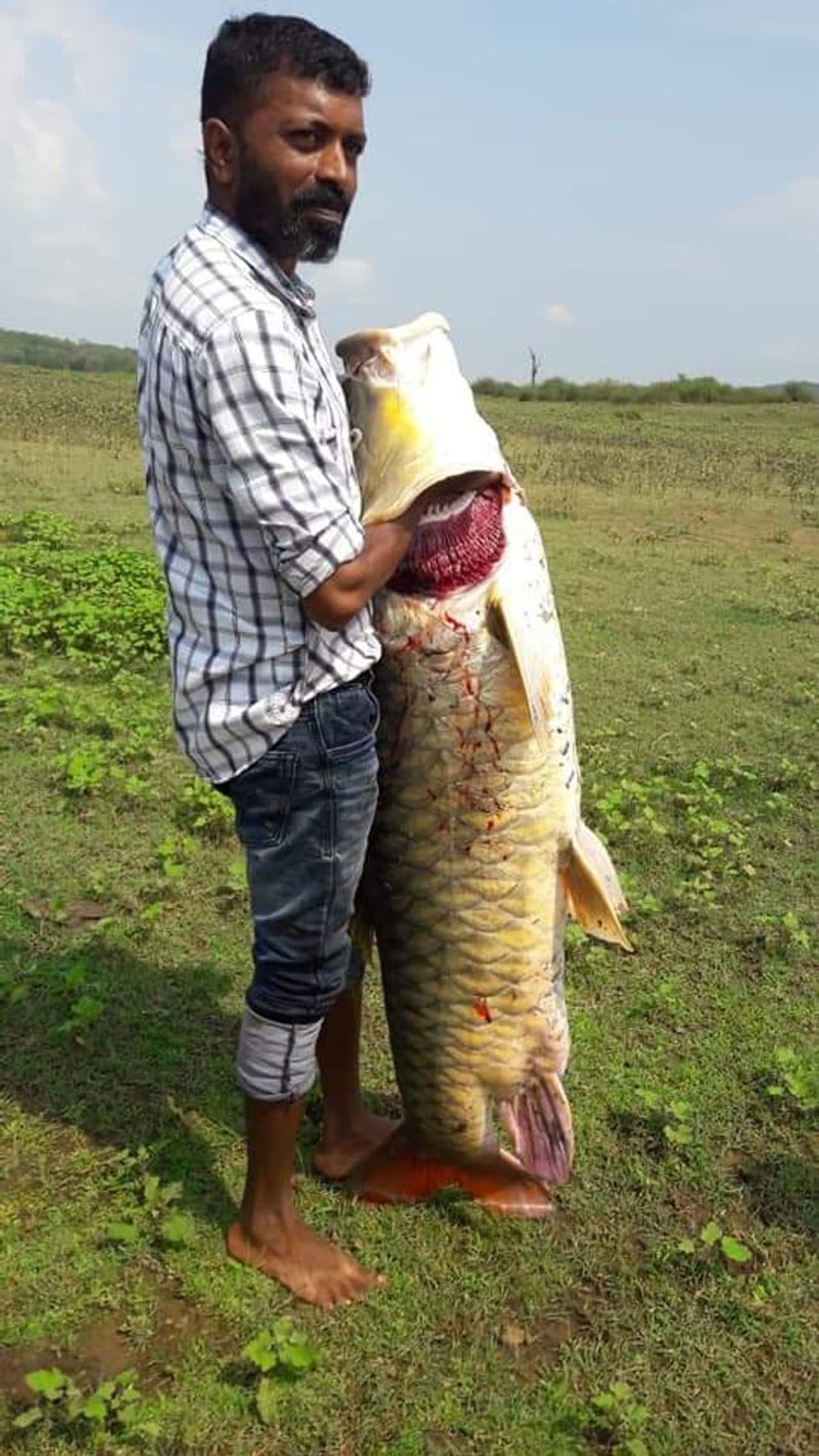 <p>ಸಾಂಪ್ರದಾಯಿಕ ಶೈಲಿಯ ಗಾಳವನ್ನು ನಾಕೂರು ಬಳಿ ಹಿನ್ನೀರಿನಲ್ಲಿ ಬಿಟ್ಟು ಕುಳಿತಿದ್ದ ತಂಡದ ಪ್ರವೀಶ್ ಎಂಬವರಿಗೆ ತಮ್ಮ ಗಾಳವನ್ನು ನೀರೊಳಗೆ ಯಾರೋ ಬಲವಾಗಿ ಎಳೆದಂತಾಗಿದೆ. ಸ್ನೇಹಿತರ ಸಹಾಯದಿಂದ ಗಾಳವನ್ನು ನದಿಯಿಂದ ಮೇಲೆ ತರುತ್ತಿದ್ದಂತೆಯೇ ಬೃಹತ್ ಗಾತ್ರದ ಮೀನನ್ನು ನೋಡಿ ಶಾಕ್ ಆಗಿದ್ದಾರೆ.</p> <p>ಸಾಂಪ್ರದಾಯಿಕ ಶೈಲಿಯ ಗಾಳವನ್ನು ನಾಕೂರು ಬಳಿ ಹಿನ್ನೀರಿನಲ್ಲಿ ಬಿಟ್ಟು ಕುಳಿತಿದ್ದ ತಂಡದ ಪ್ರವೀಶ್ ಎಂಬವರಿಗೆ ತಮ್ಮ ಗಾಳವನ್ನು ನೀರೊಳಗೆ ಯಾರೋ ಬಲವಾಗಿ ಎಳೆದಂತಾಗಿದೆ. ಸ್ನೇಹಿತರ ಸಹಾಯದಿಂದ ಗಾಳವನ್ನು ನದಿಯಿಂದ ಮೇಲೆ ತರುತ್ತಿದ್ದಂತೆಯೇ ಬೃಹತ್ ಗಾತ್ರದ ಮೀನನ್ನು ನೋಡಿ ಶಾಕ್ ಆಗಿದ್ದಾರೆ.</p>