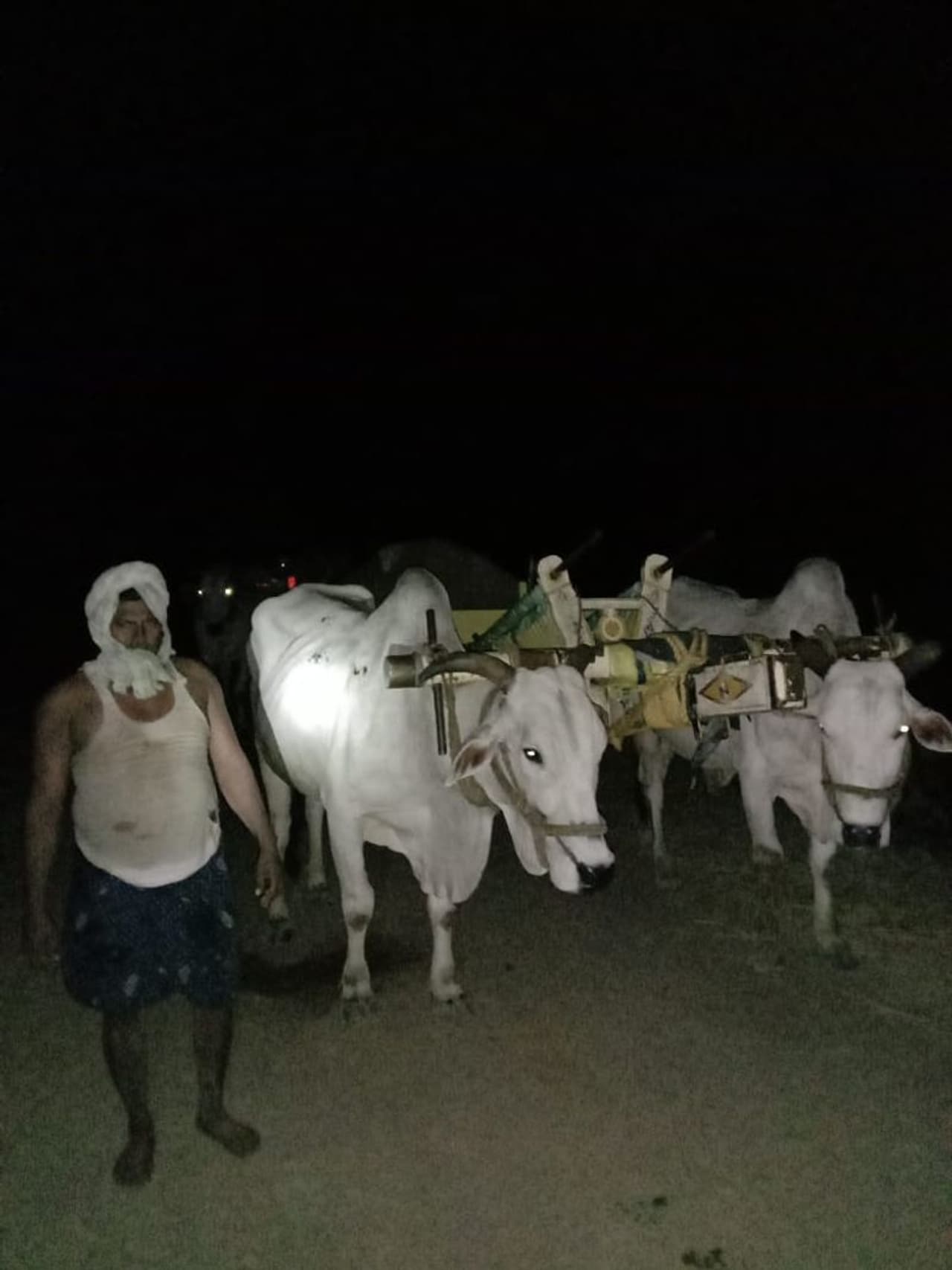 <p>అమరావతి: కరోనా మహమ్మారి రోజురోజుకు విజృంభిస్తుండటంతో యావత్ దేశంలో లాక్ డౌన్ కొనసాగుతున్న విషయం తెలిసిందే. ఇలా ఏపిలో కూడా కేవలం వైద్య సిబ్బంది, పోలీసు వ్యవస్థ వంటి అత్యవసర సర్వీసులు తప్ప వ్యాపారసంస్థలు, ప్రజా రవాణా వంటివన్నీ మూతపడ్డాయి. రాష్ట్రం మొత్తంలో లాక్ డౌన్ కొనసాగుతున్నప్పటికి ఇసుక, మట్టి అక్రమార్కులు మాత్రం దీన్ని పట్టించుకోవడం లేదు. యధేచ్చగా తమ అక్రమదందాను సాగిస్తూ జేబులు నింపుకుంటున్నారు. <br /> </p> <p>అమరావతి: కరోనా మహమ్మారి రోజురోజుకు విజృంభిస్తుండటంతో యావత్ దేశంలో లాక్ డౌన్ కొనసాగుతున్న విషయం తెలిసిందే. ఇలా ఏపిలో కూడా కేవలం వైద్య సిబ్బంది, పోలీసు వ్యవస్థ వంటి అత్యవసర సర్వీసులు తప్ప వ్యాపారసంస్థలు, ప్రజా రవాణా వంటివన్నీ మూతపడ్డాయి. రాష్ట్రం మొత్తంలో లాక్ డౌన్ కొనసాగుతున్నప్పటికి ఇసుక, మట్టి అక్రమార్కులు మాత్రం దీన్ని పట్టించుకోవడం లేదు. యధేచ్చగా తమ అక్రమదందాను సాగిస్తూ జేబులు నింపుకుంటున్నారు. <br /> </p>